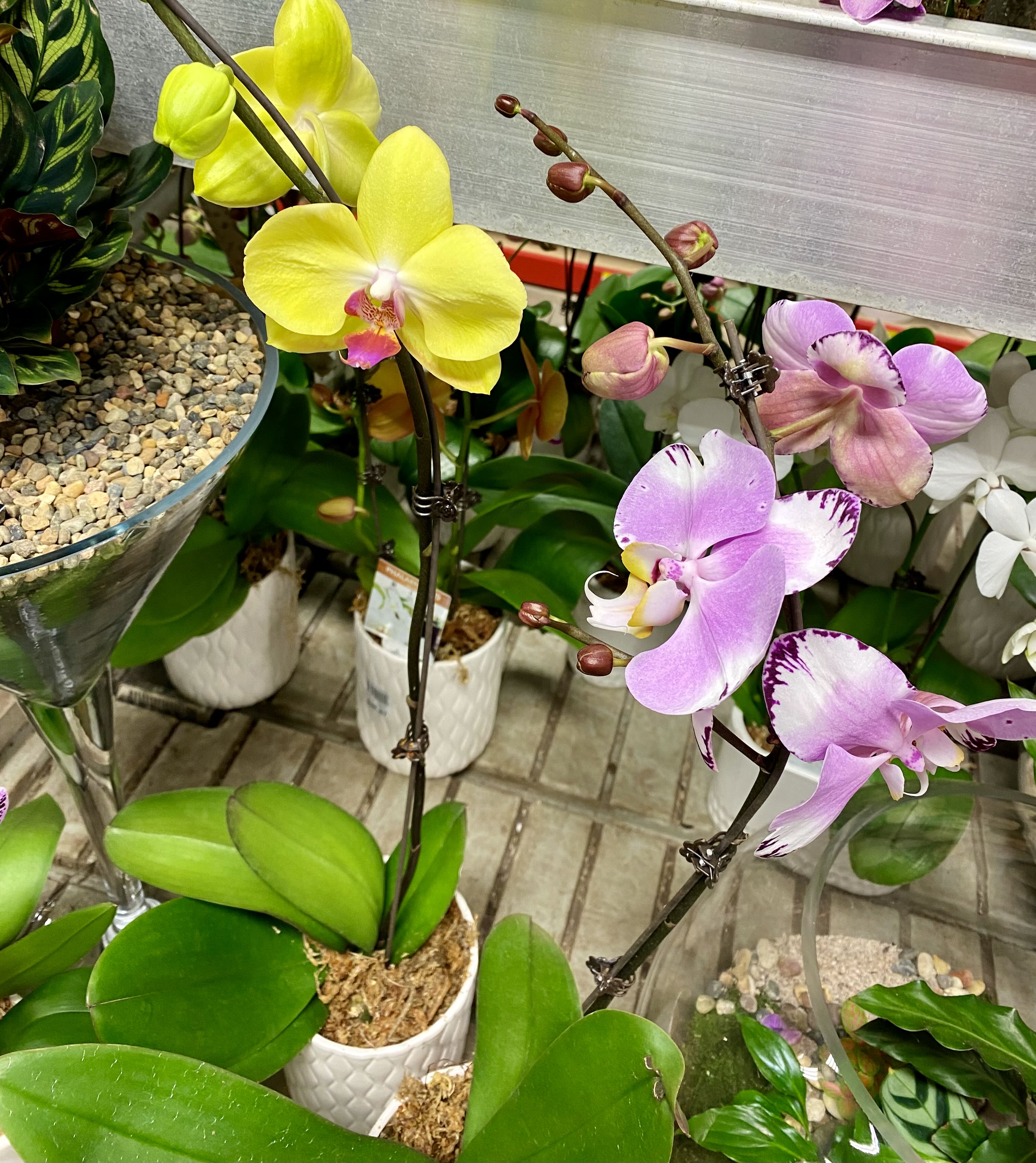 Photo from the post