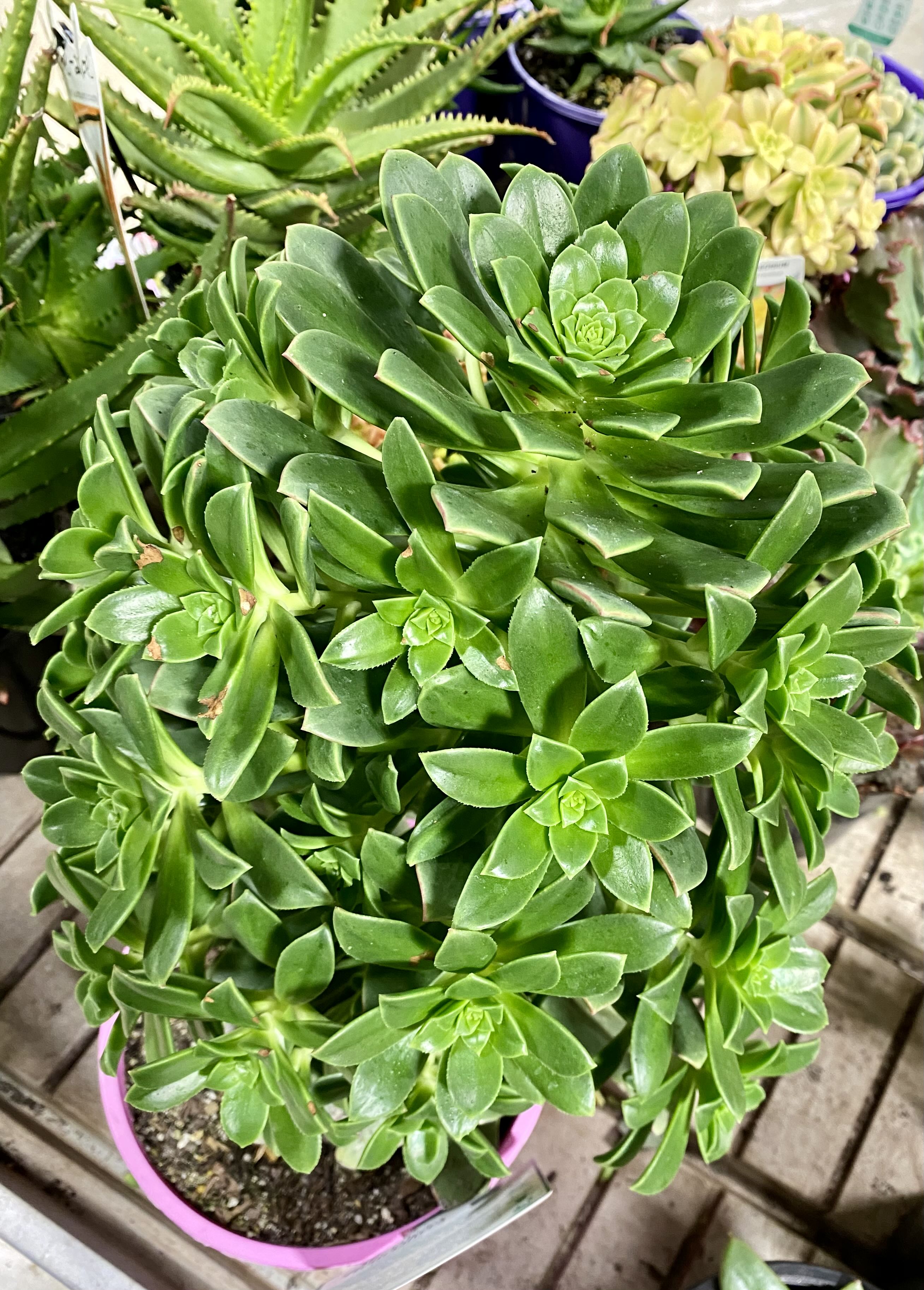 Photo from the post