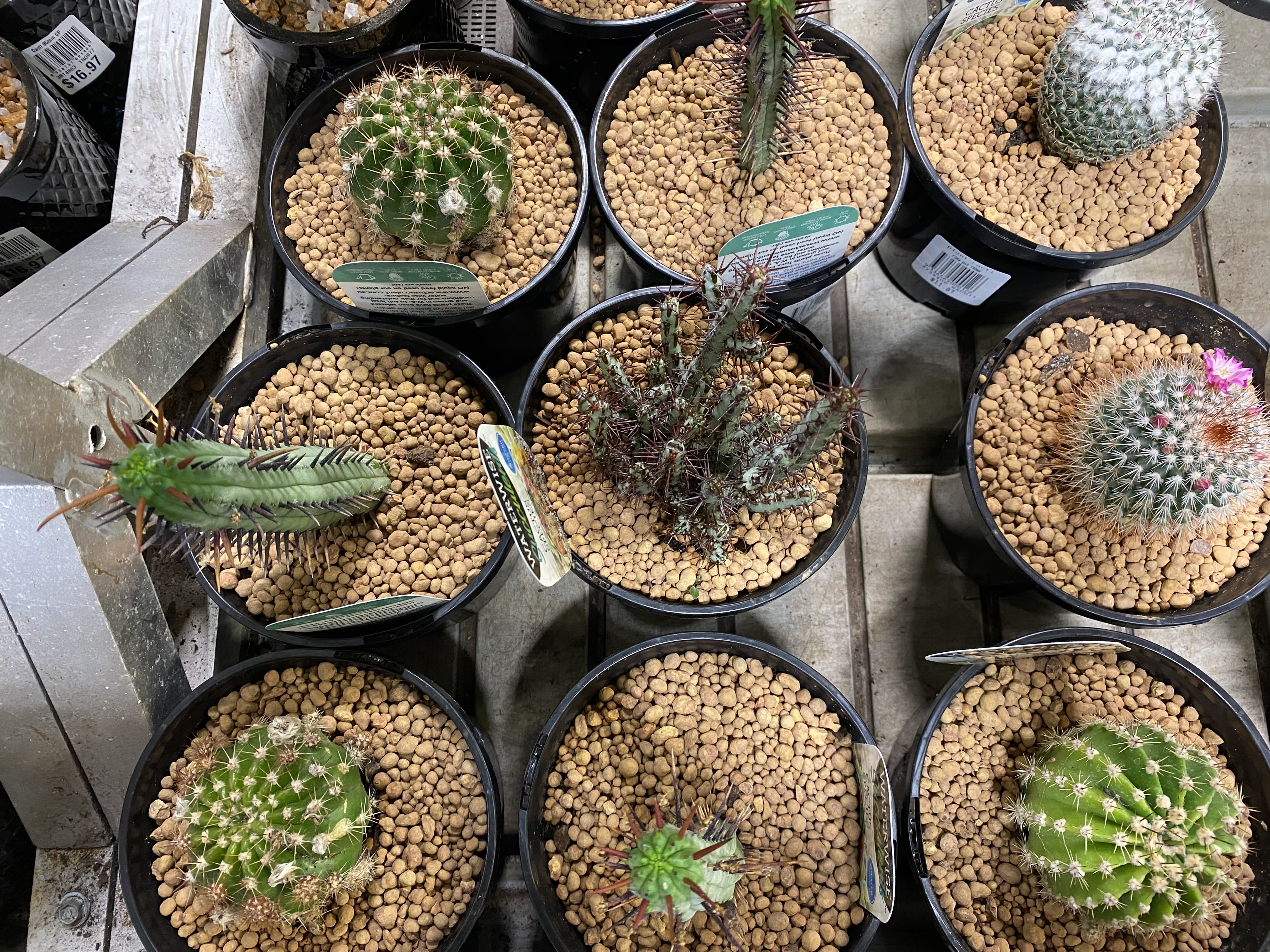 Photo from the post