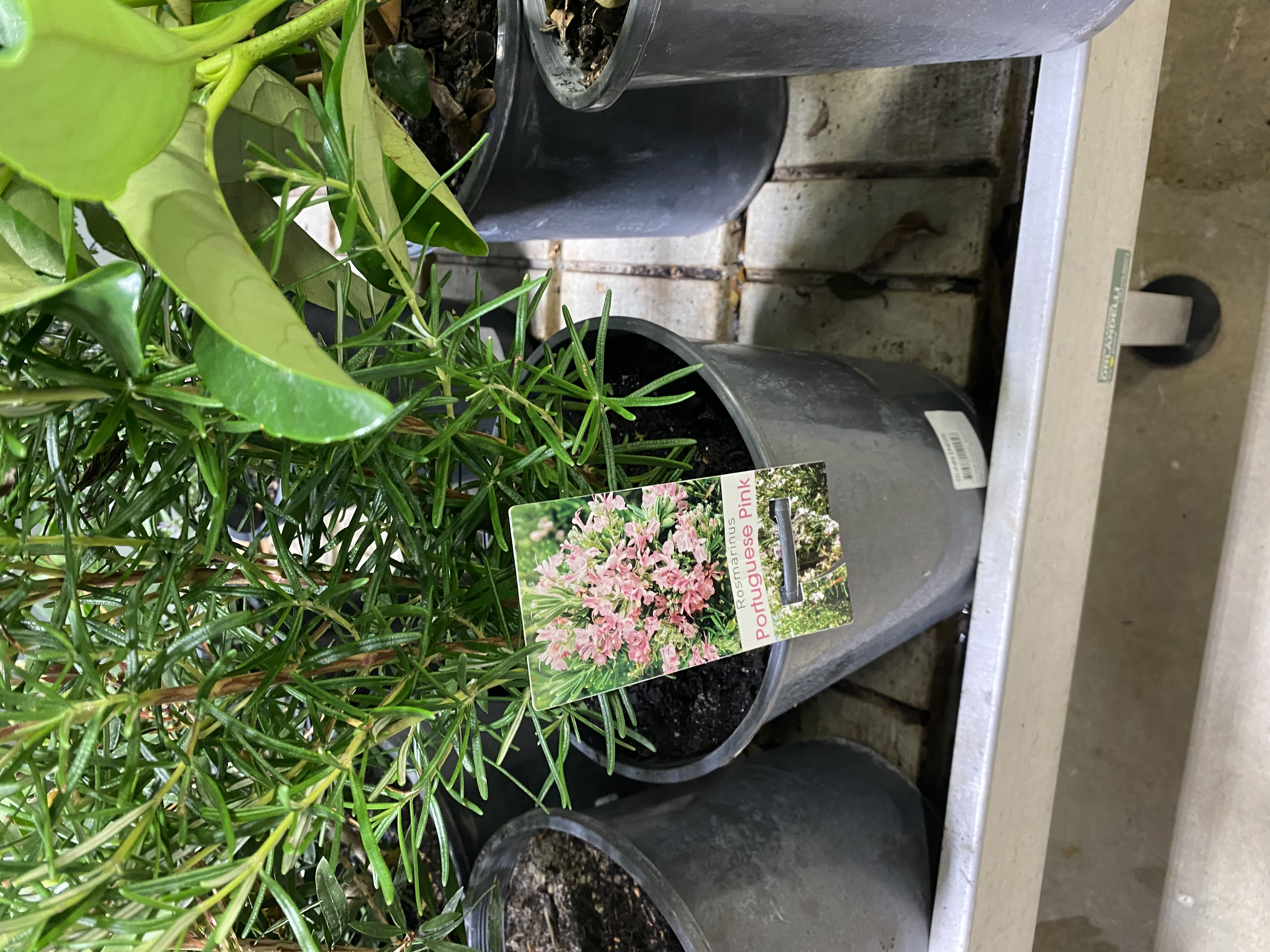 Photo from the post