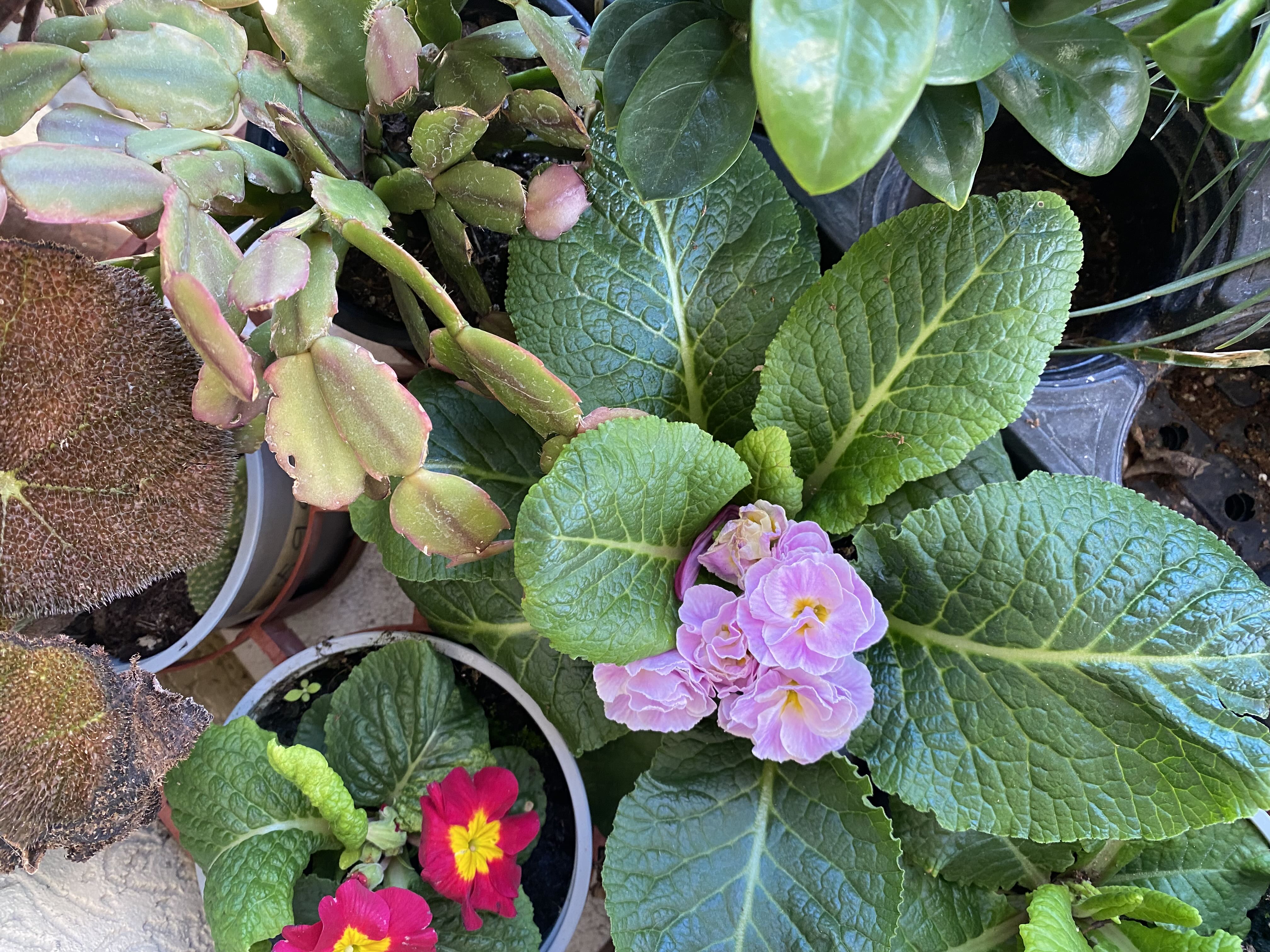 Photo from the post
