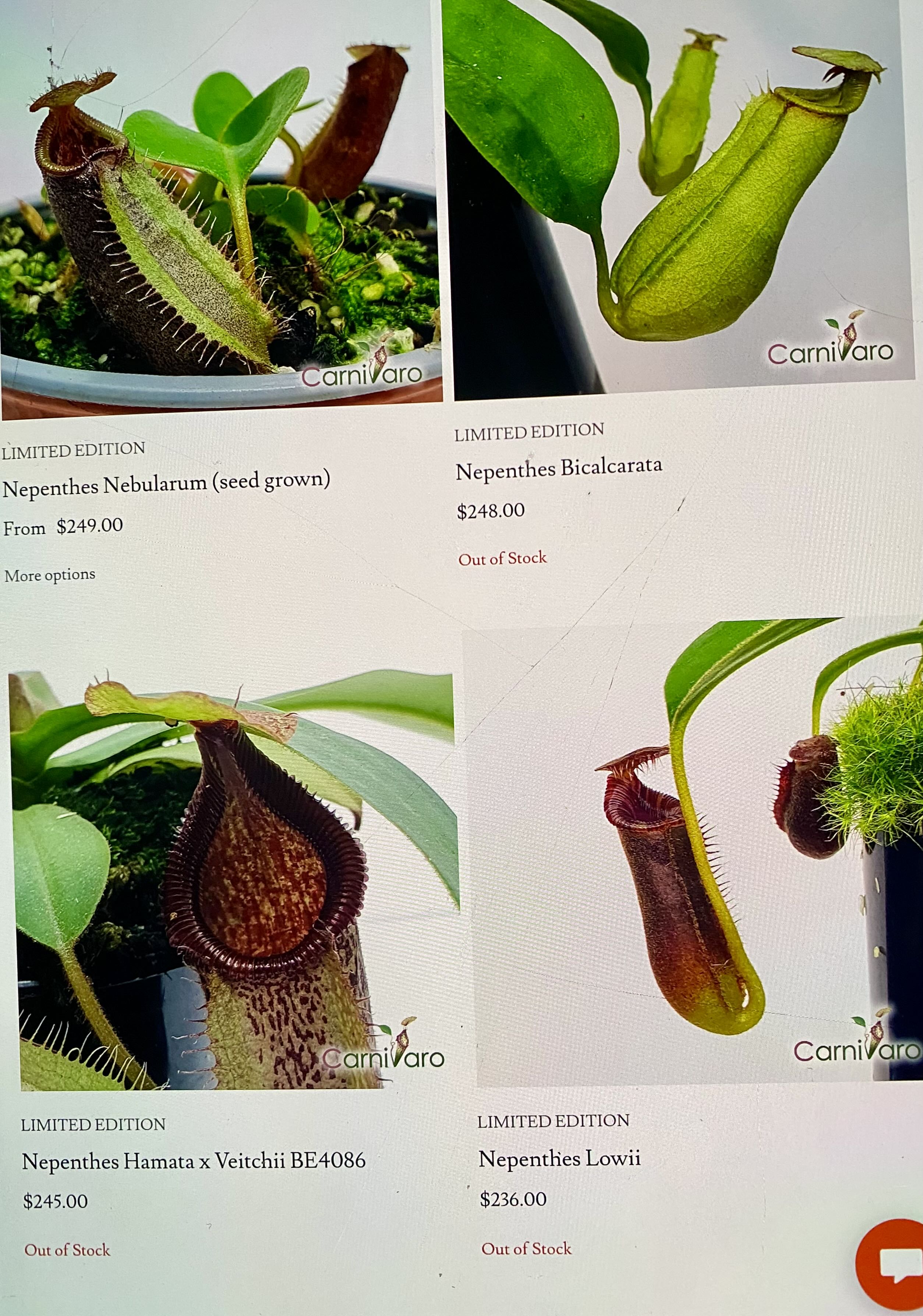 Photo from the post