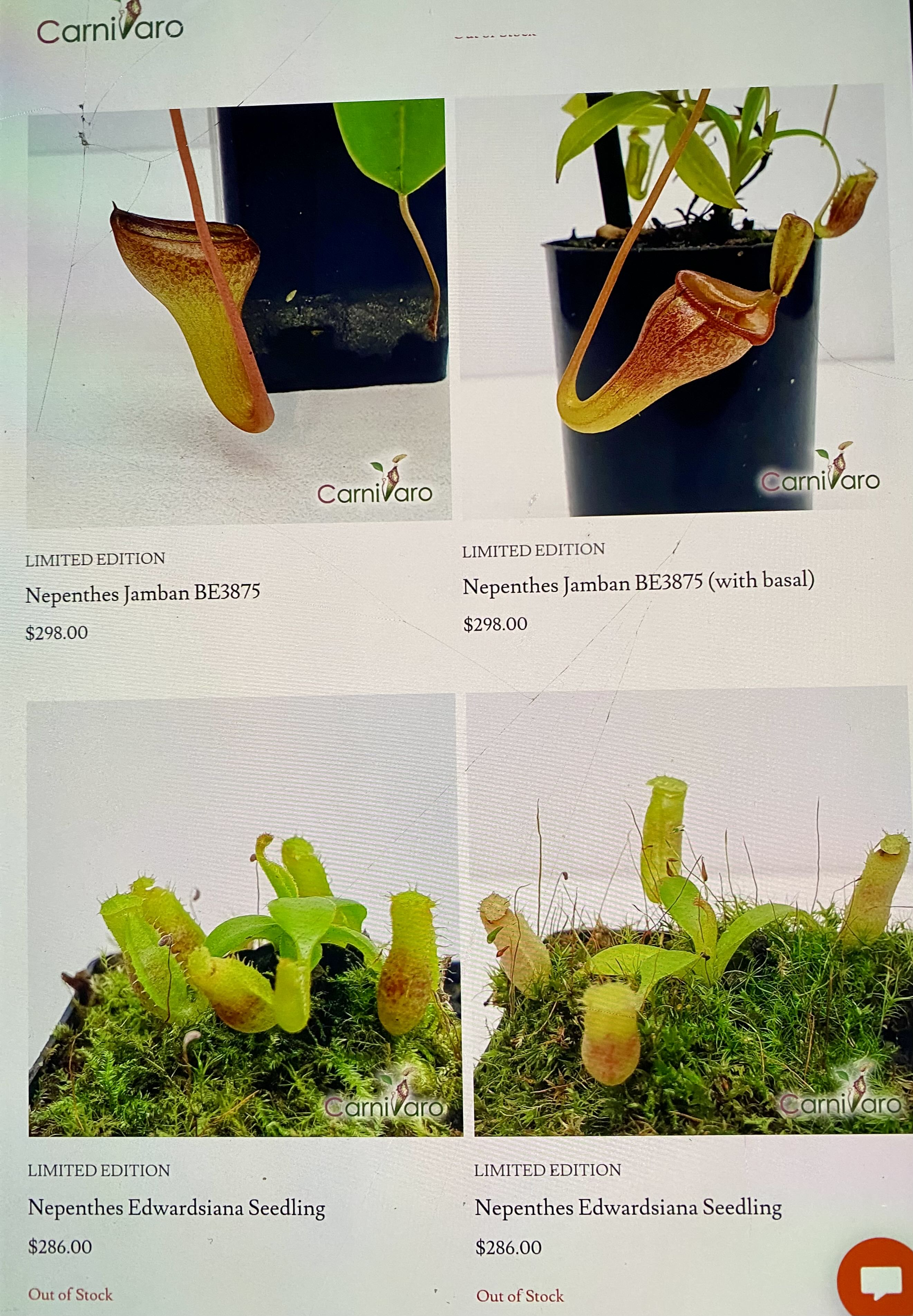 Photo from the post