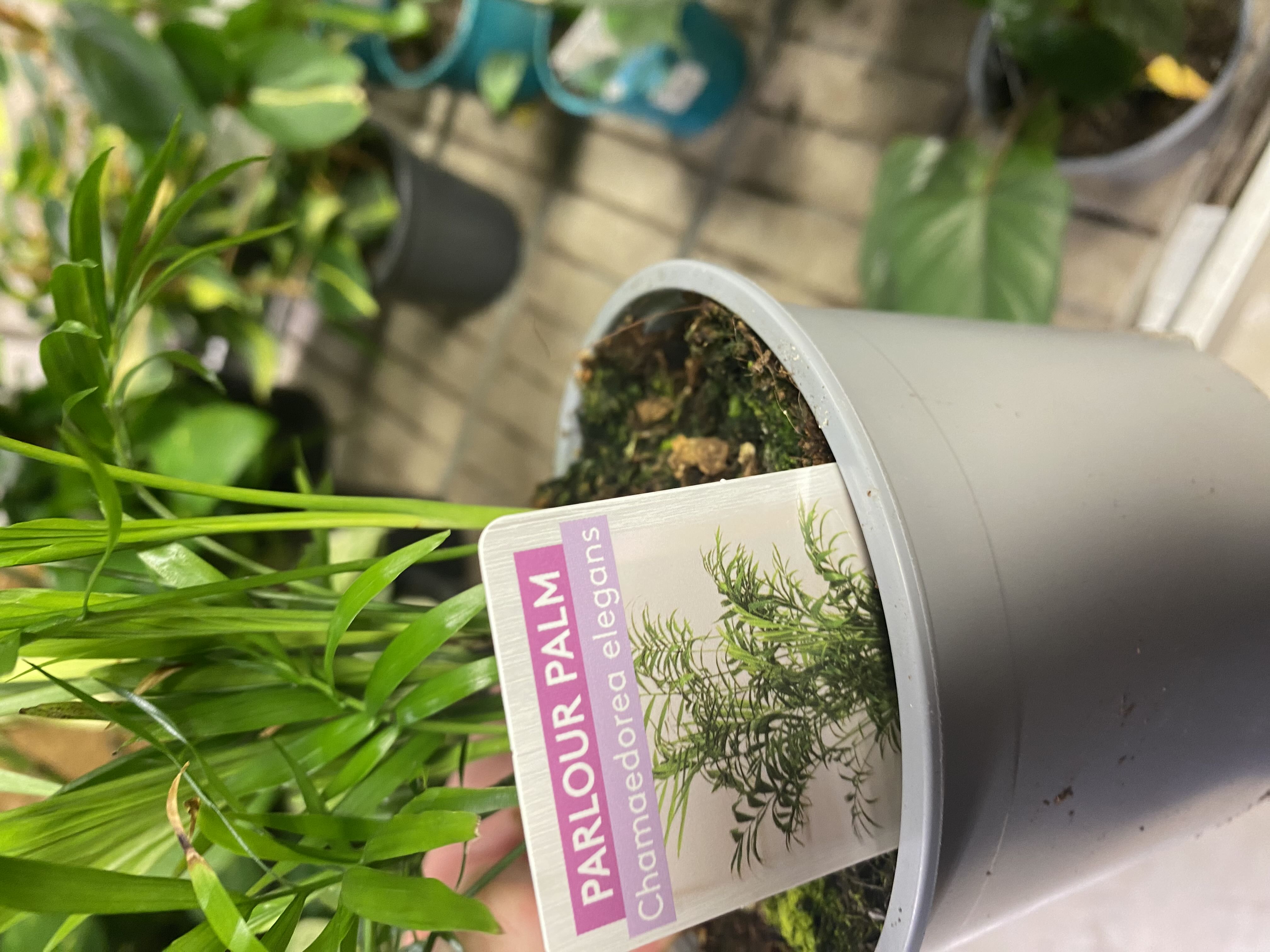 Photo from the post