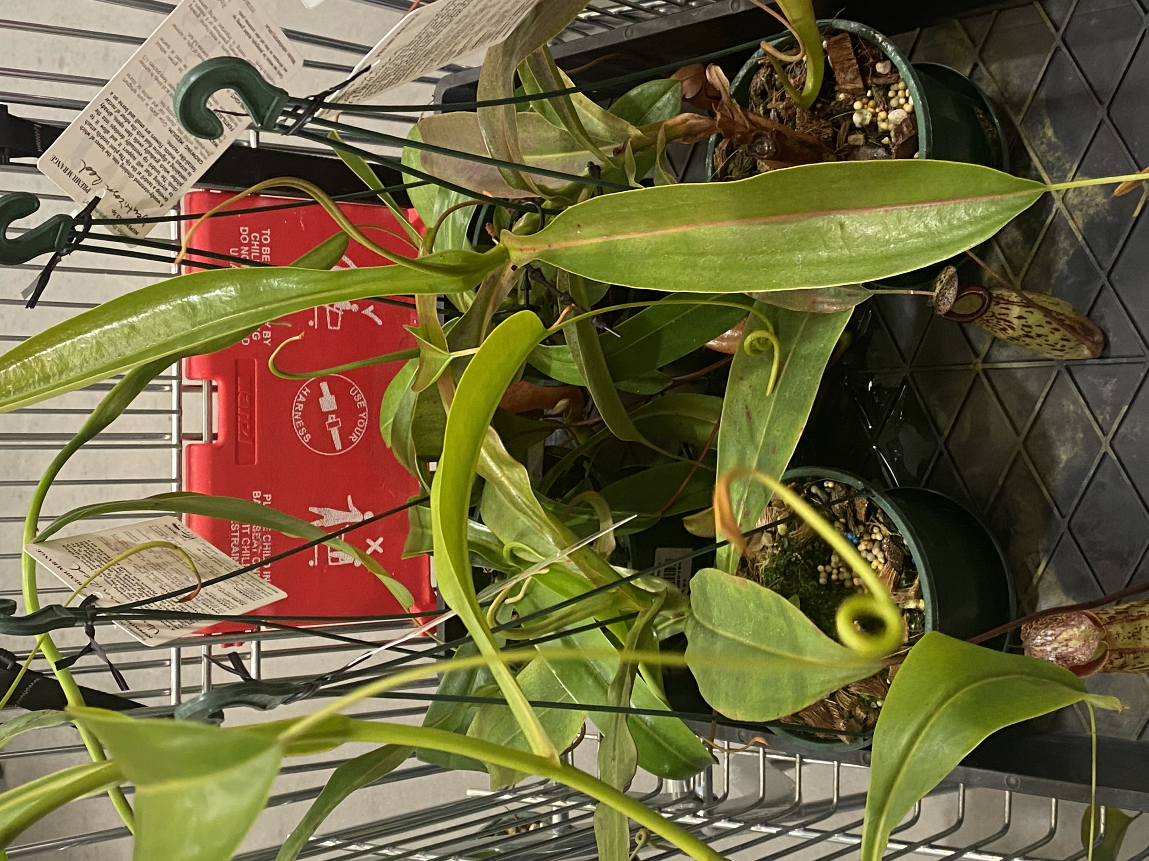 Photo from the post