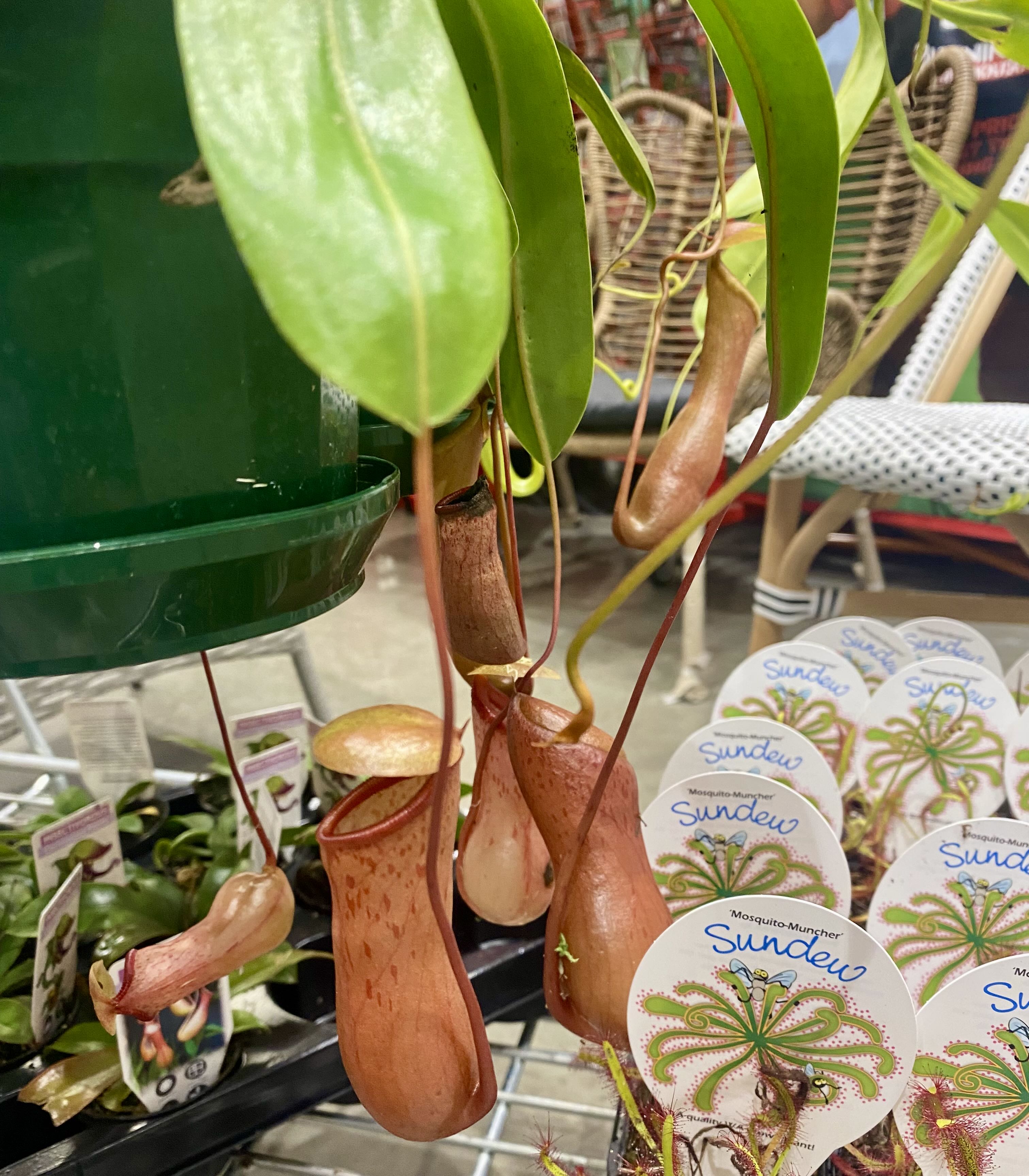 Photo from the post