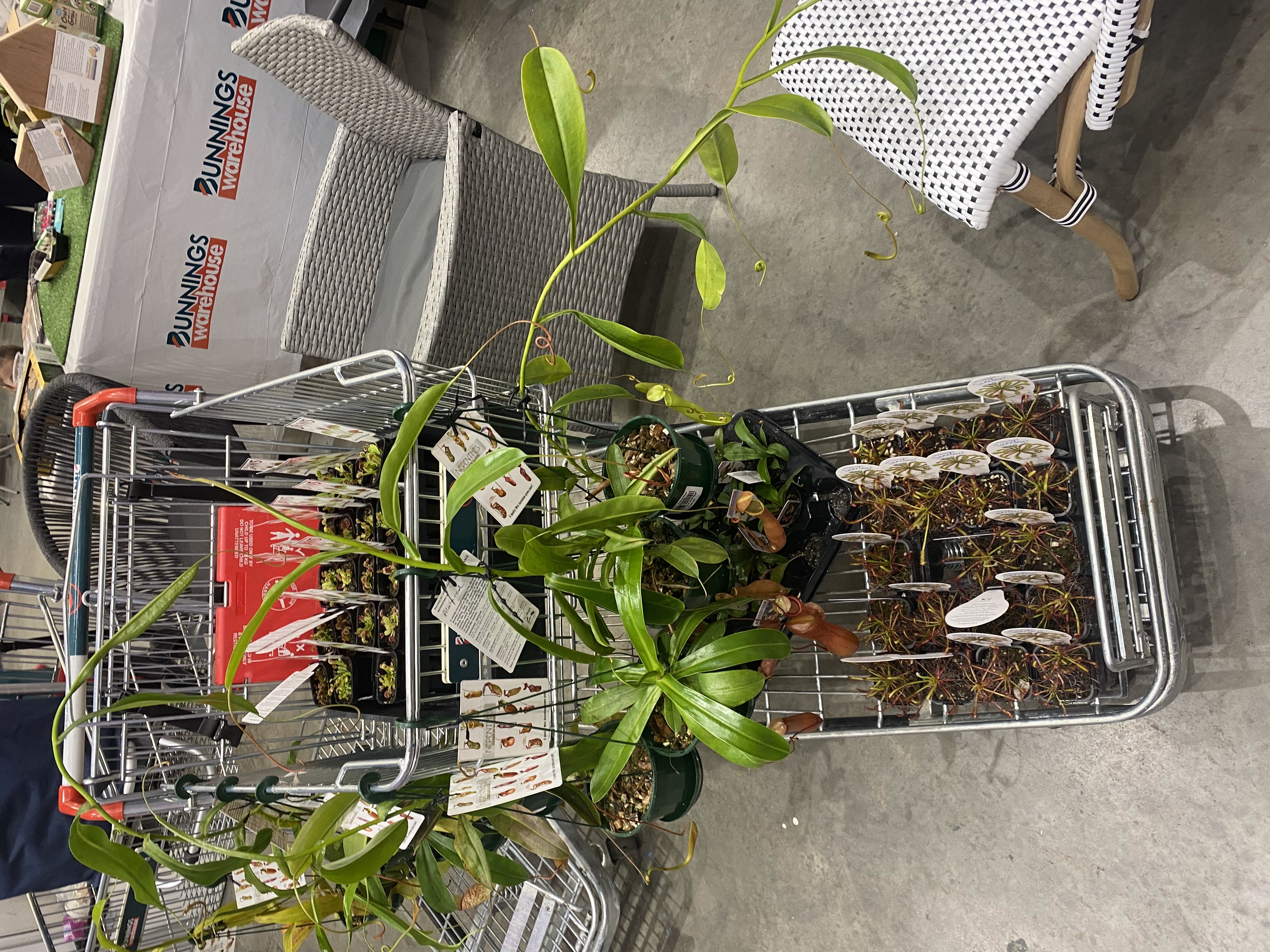 Photo from the post