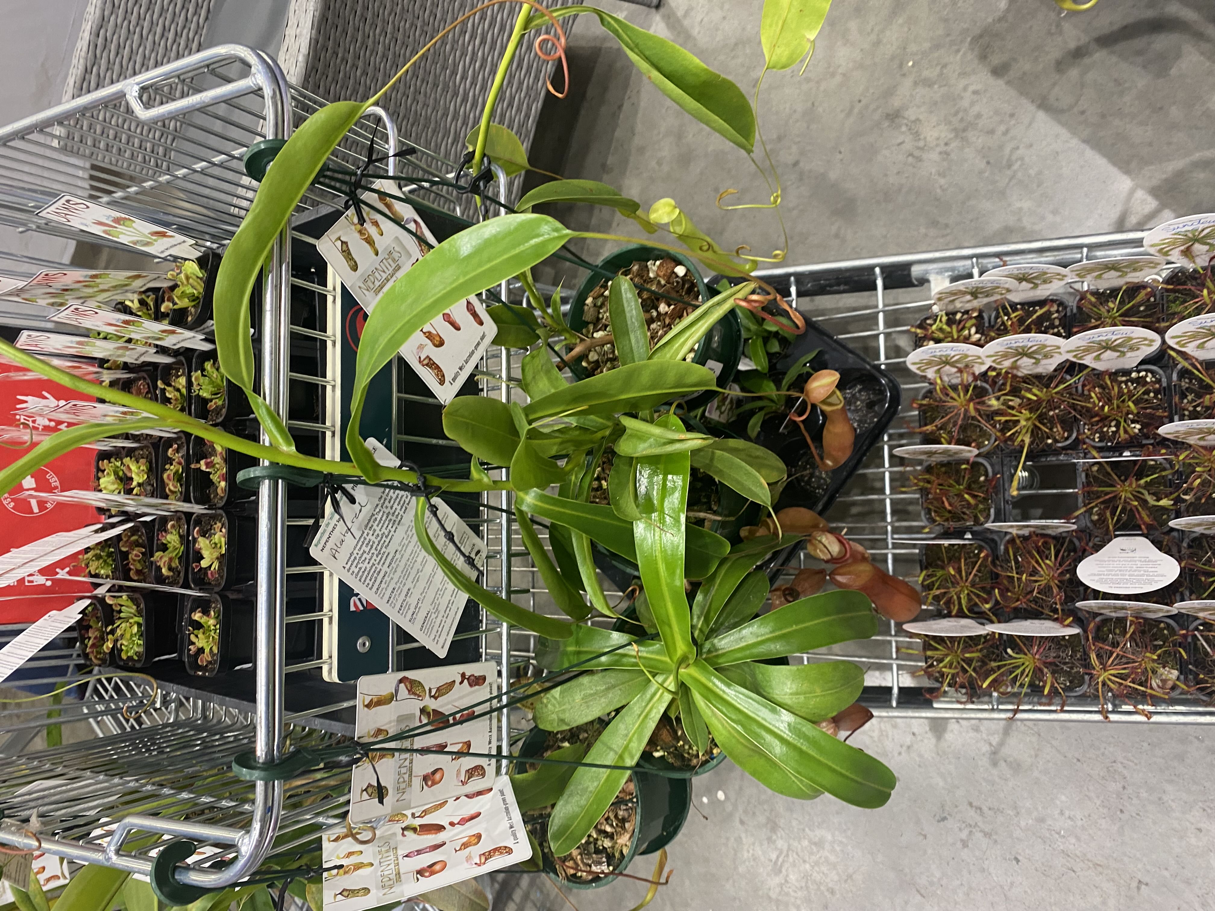 Photo from the post