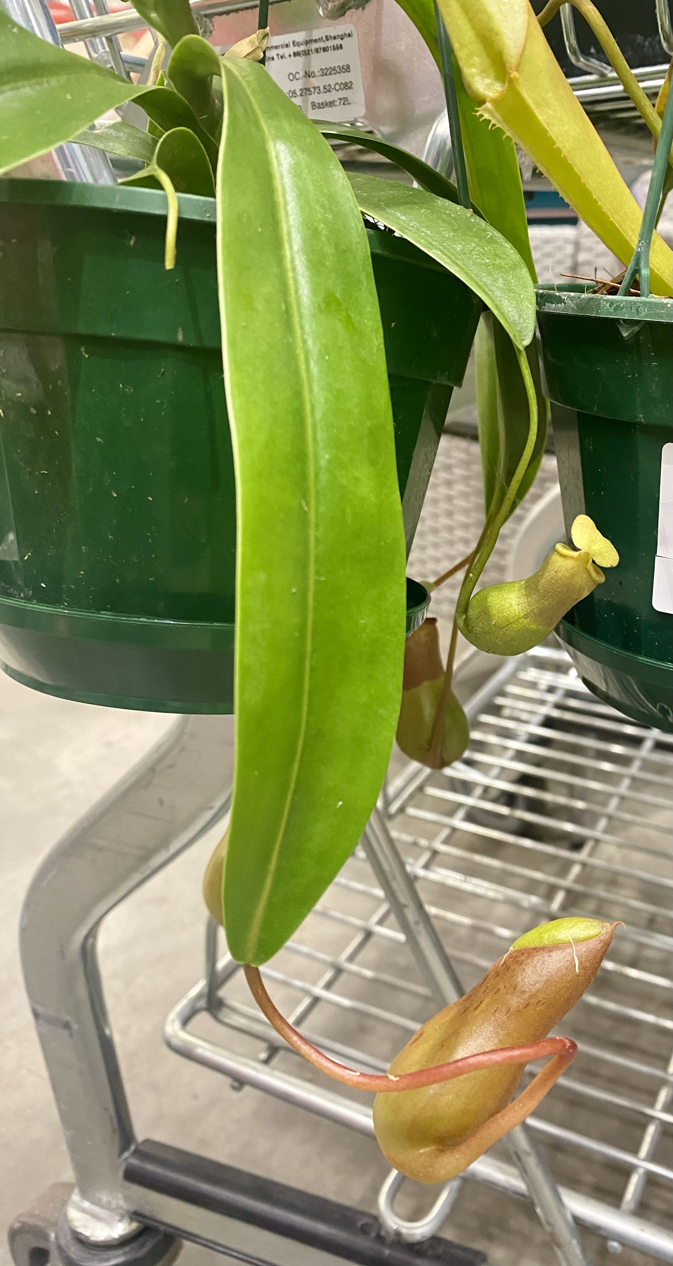 Photo from the post