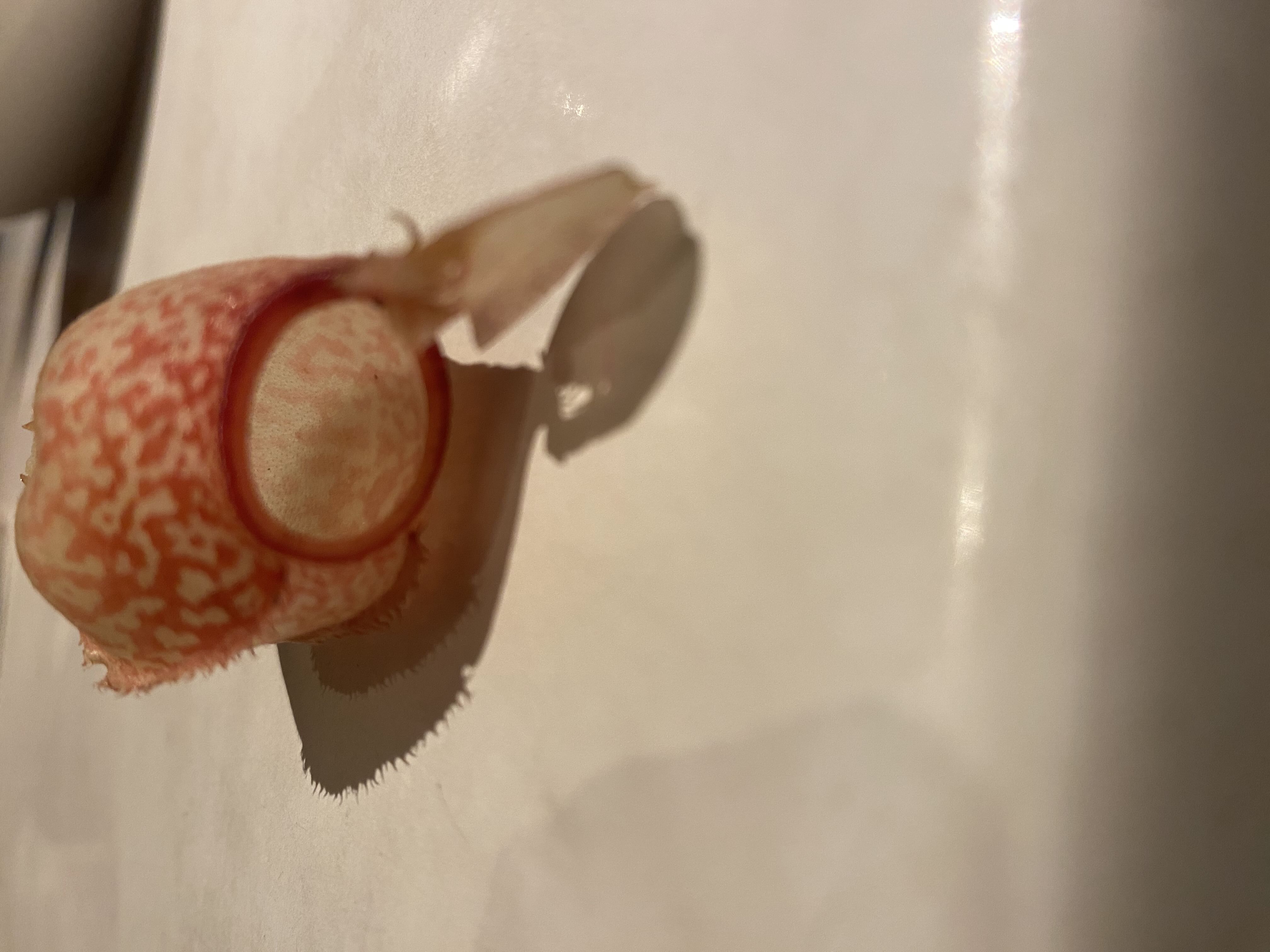 Photo from the post