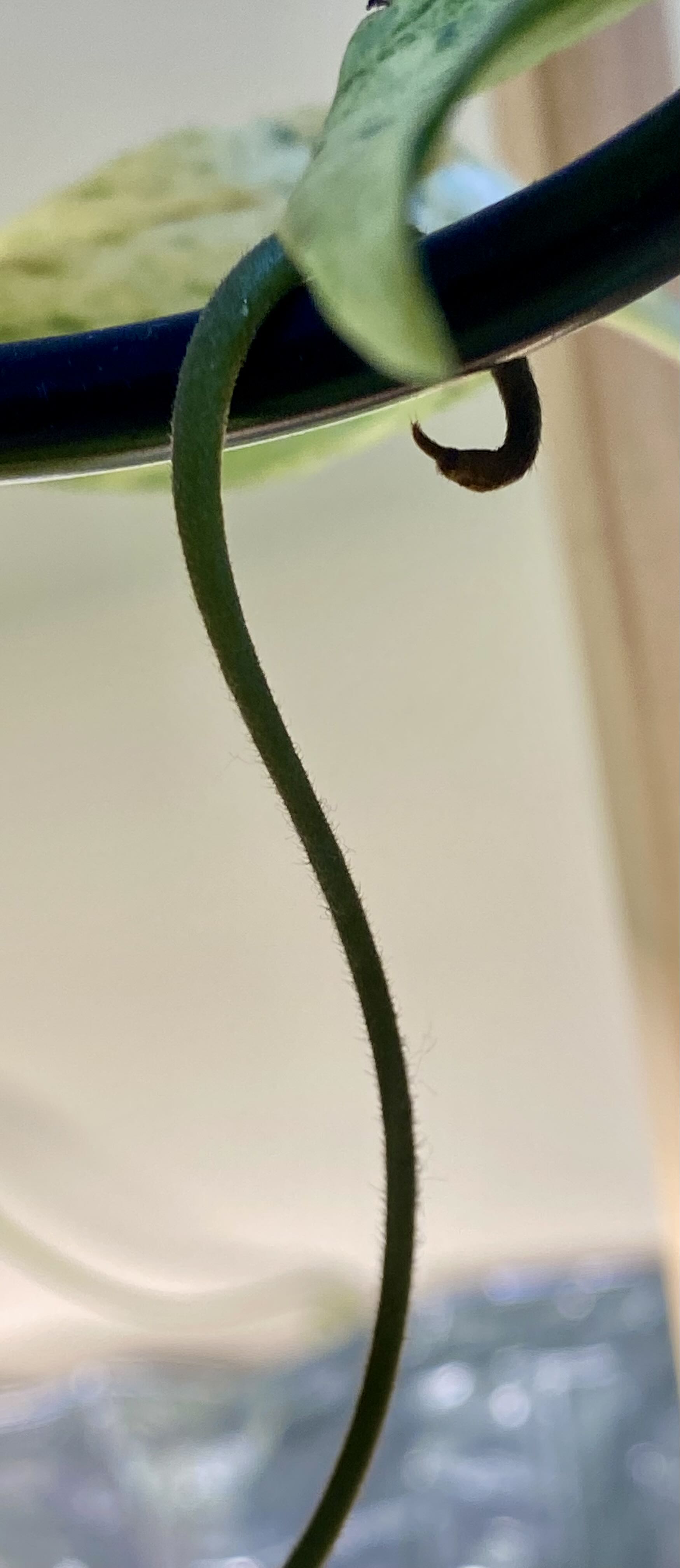 Photo from the post