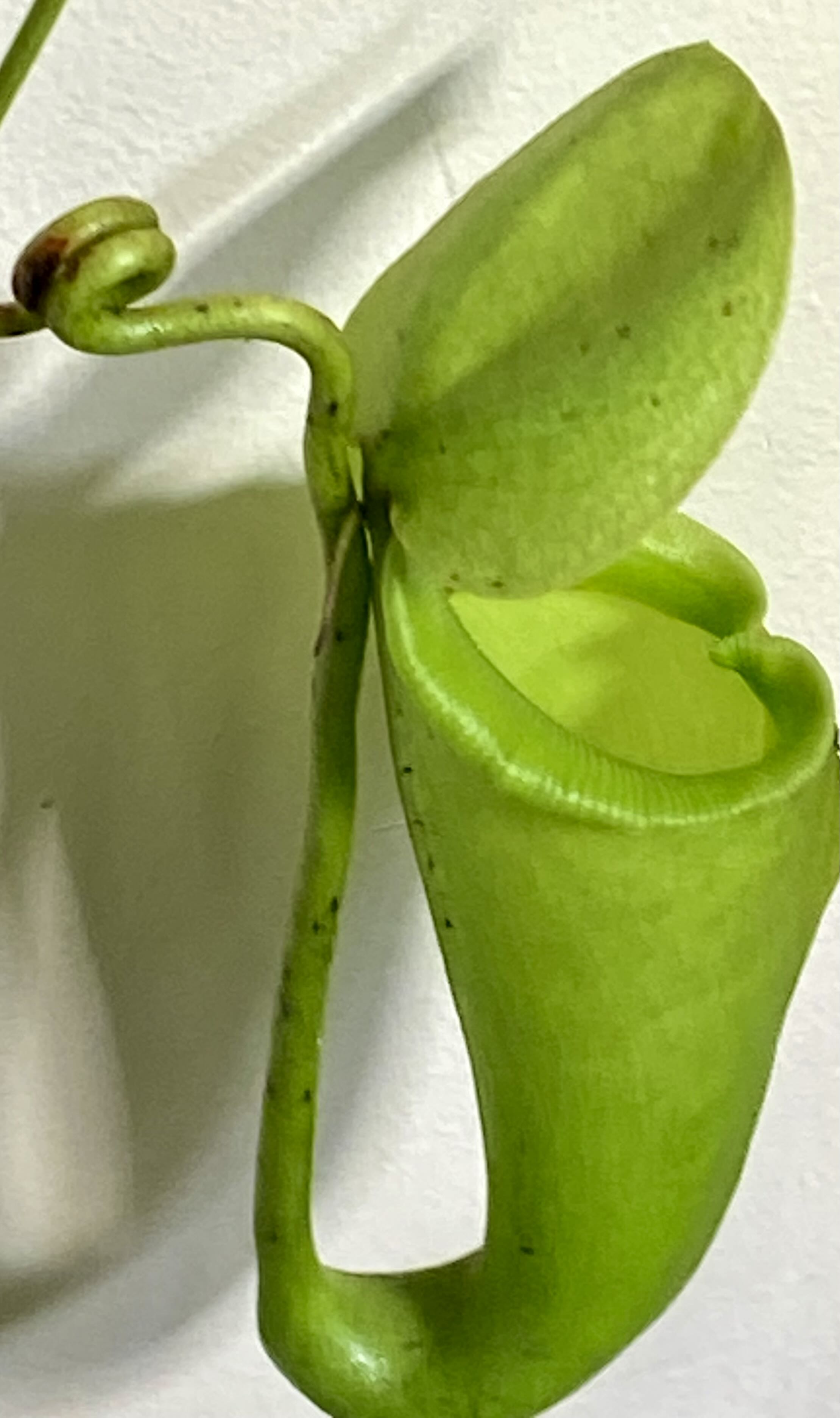 Photo from the post