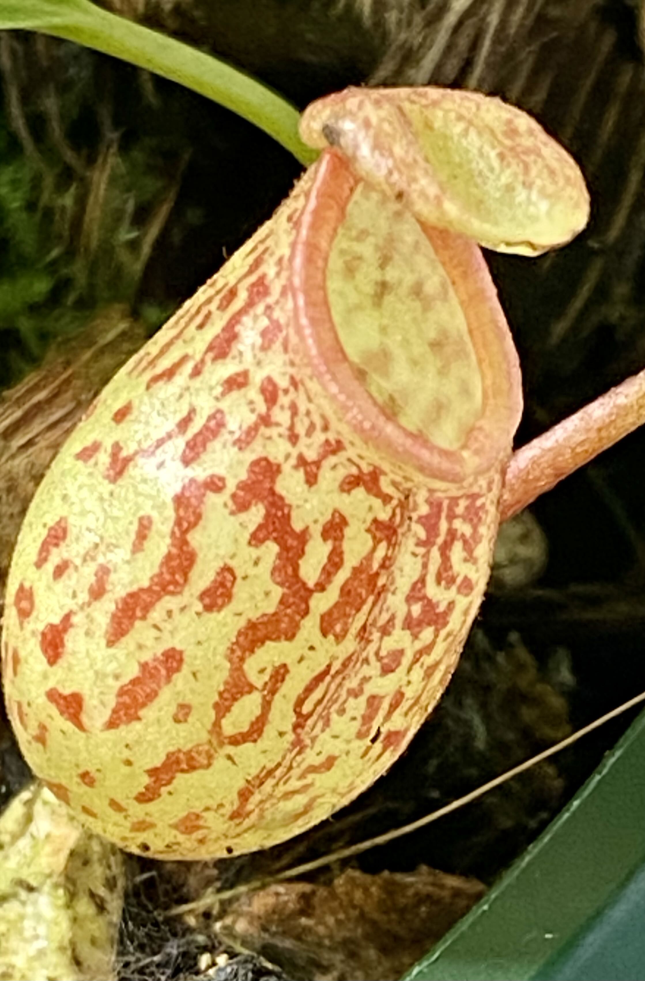 Photo from the post
