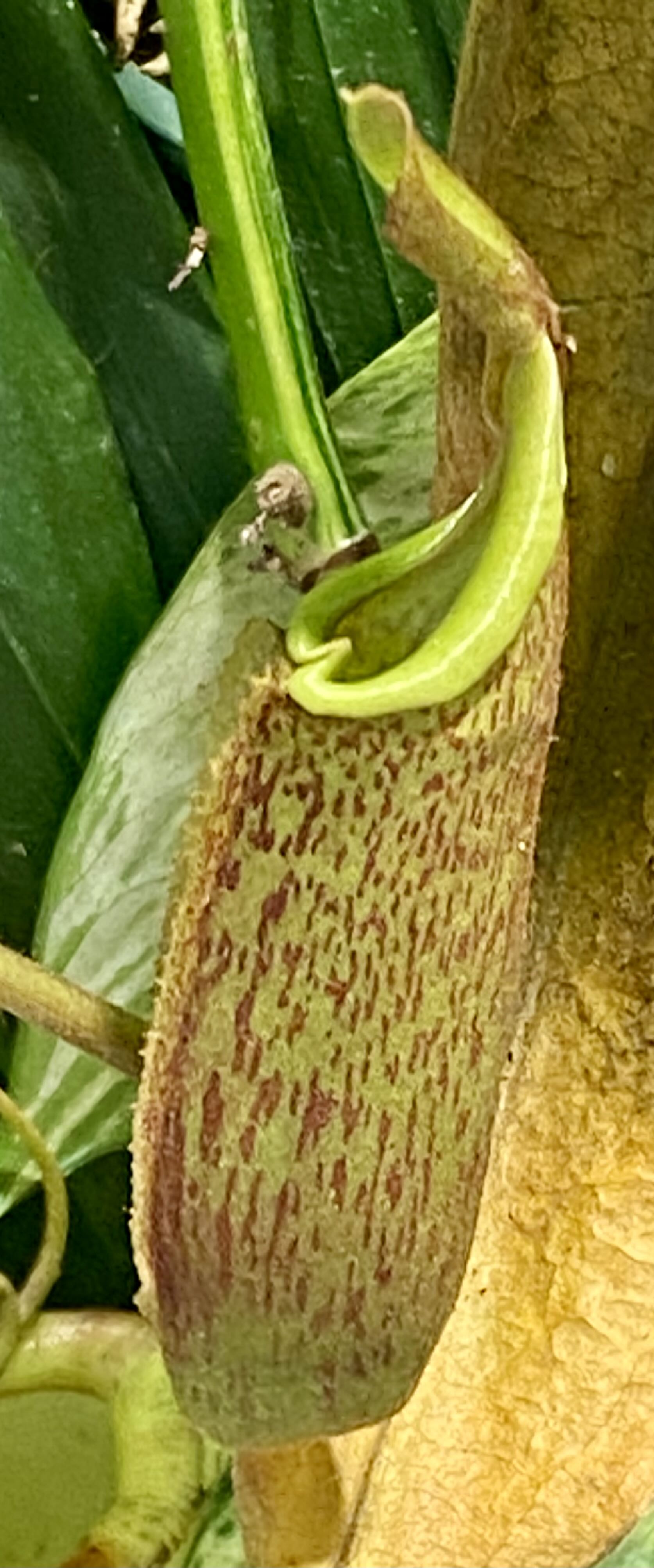 Photo from the post