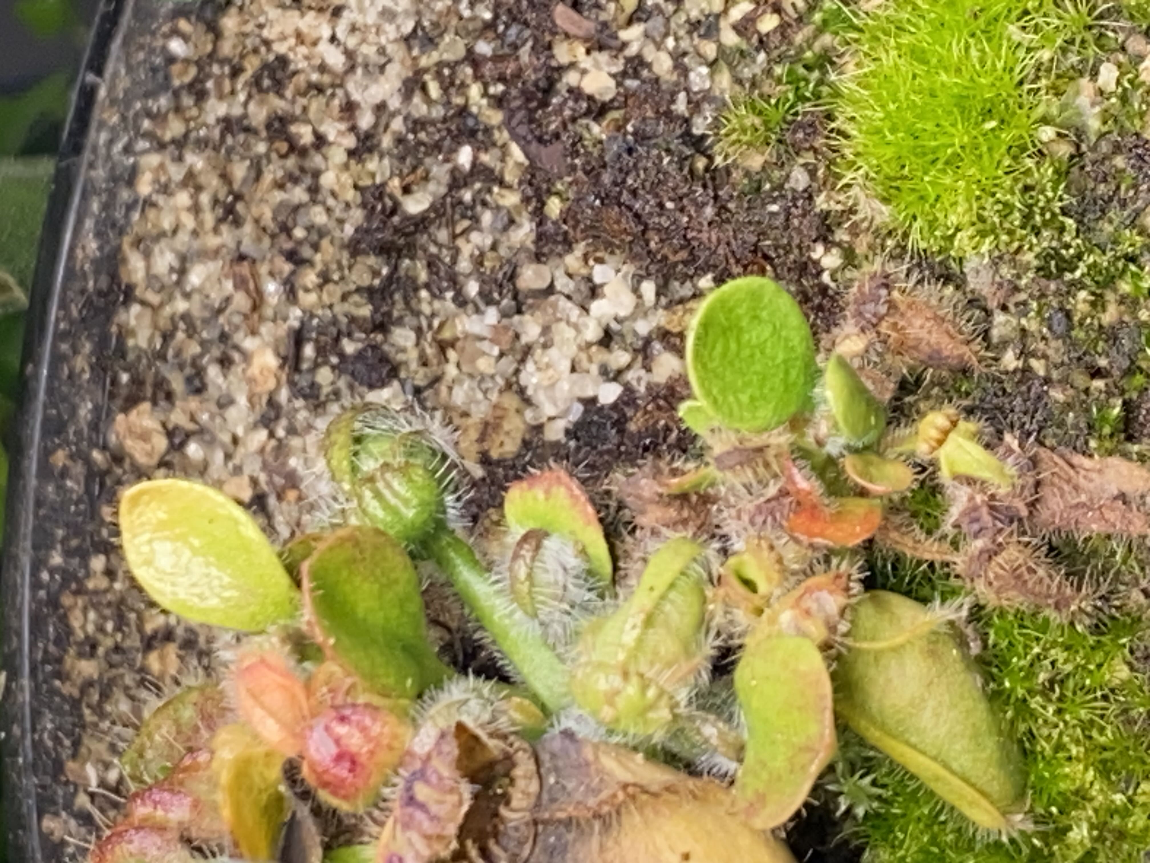 Photo from the post