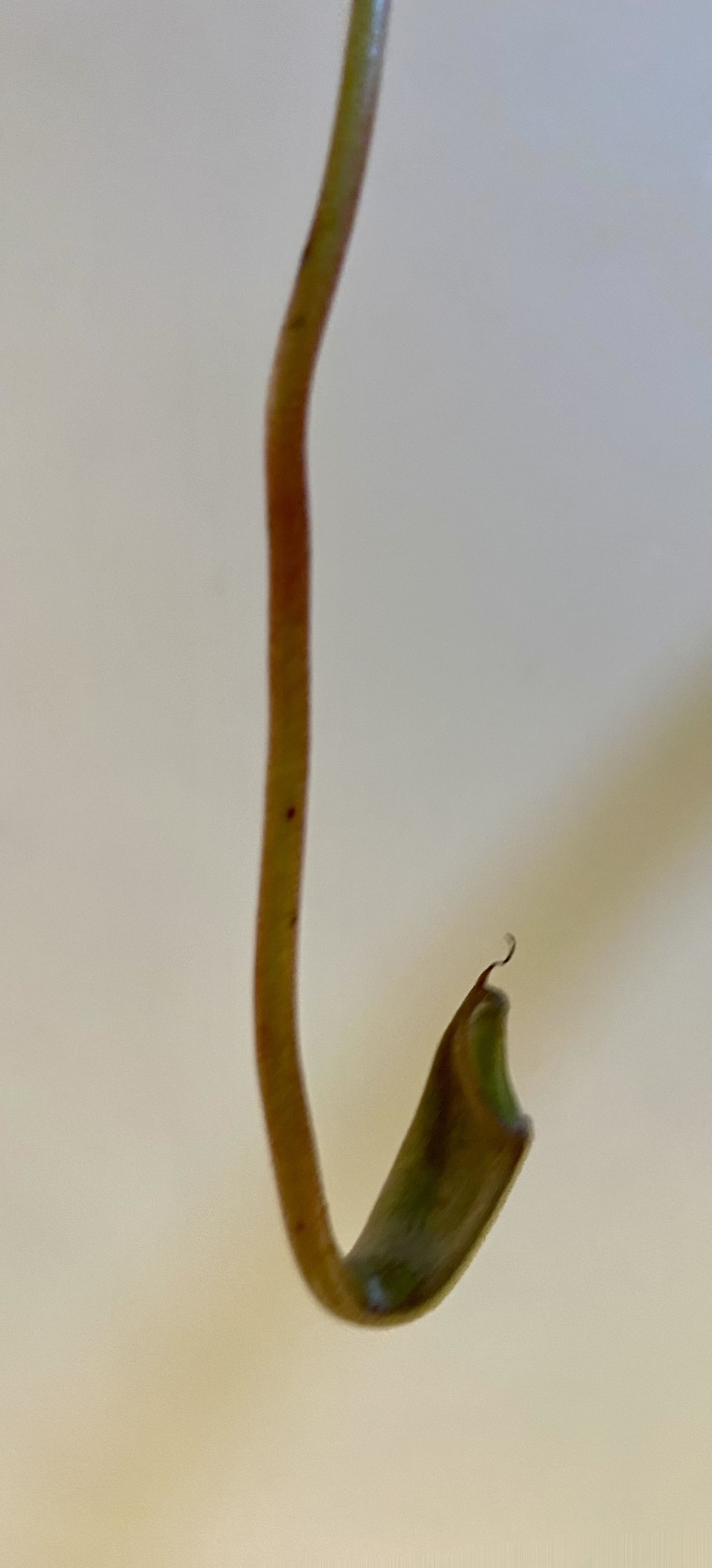 Photo from the post