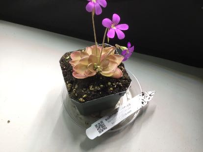 Photo from the post