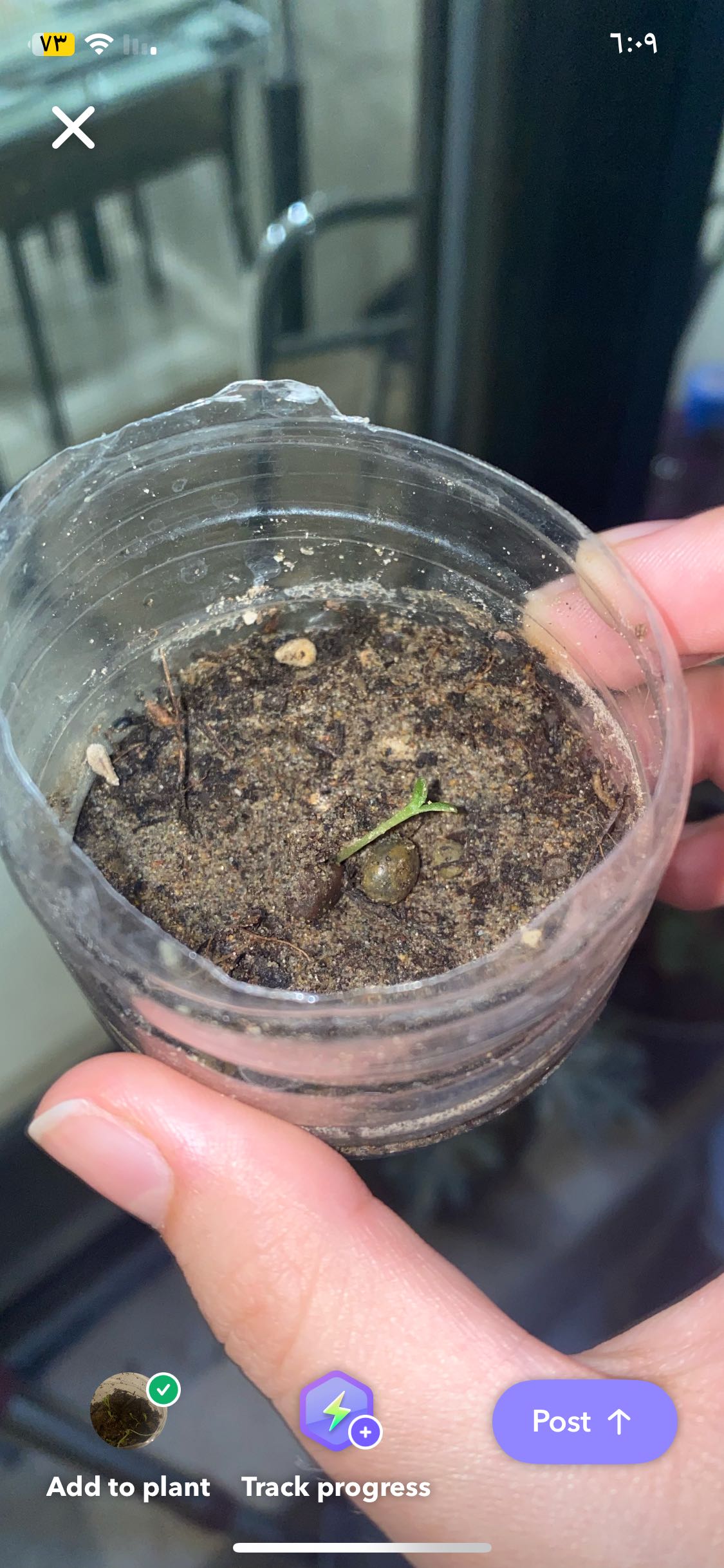 🍓 Optimal Hardiness Zones for Strawberry 5a9b