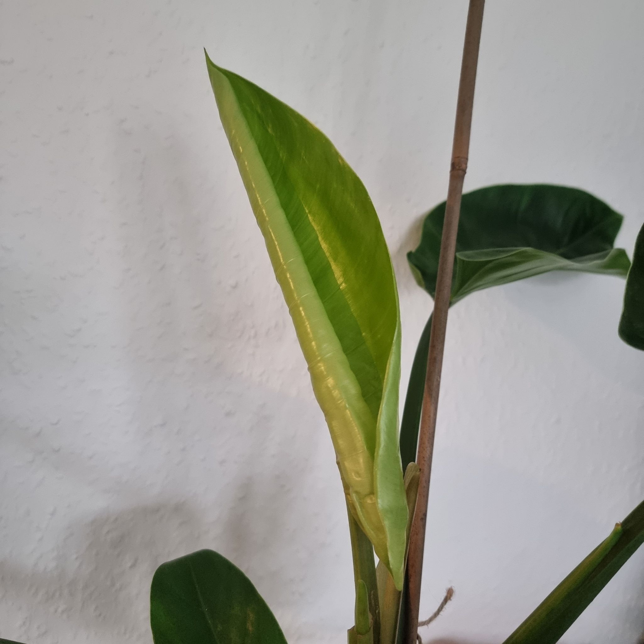 Photo from the post