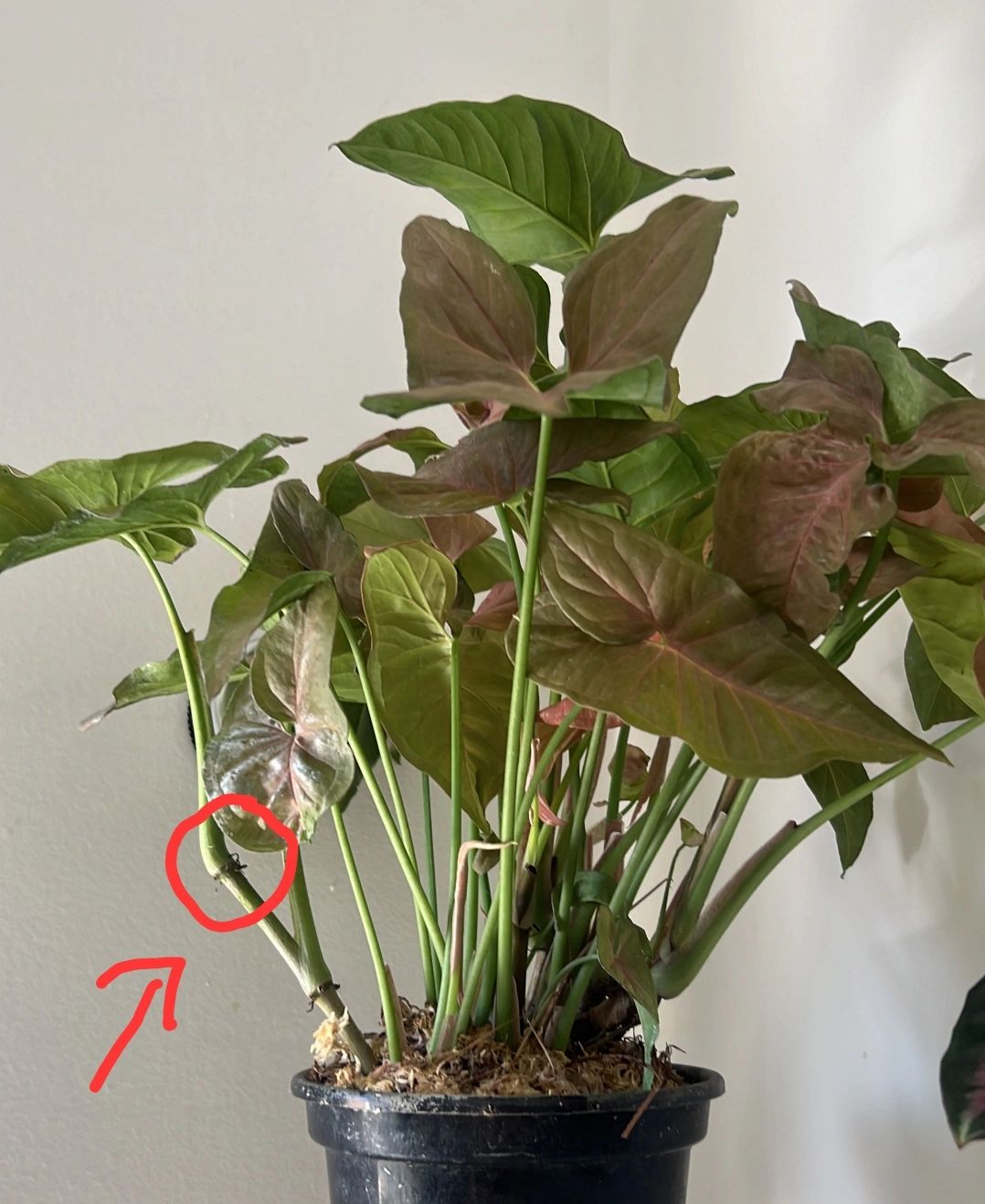 Photo from the post