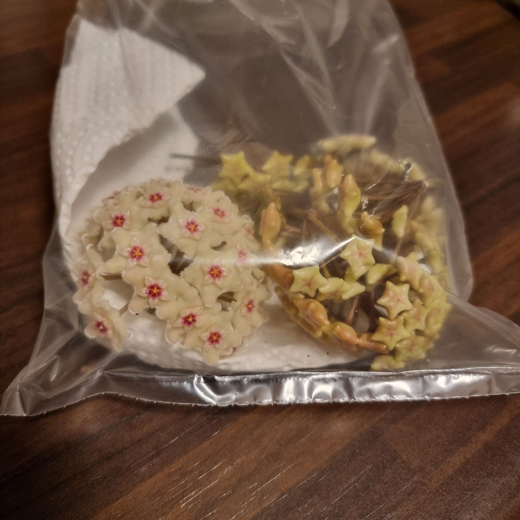Photo from the post