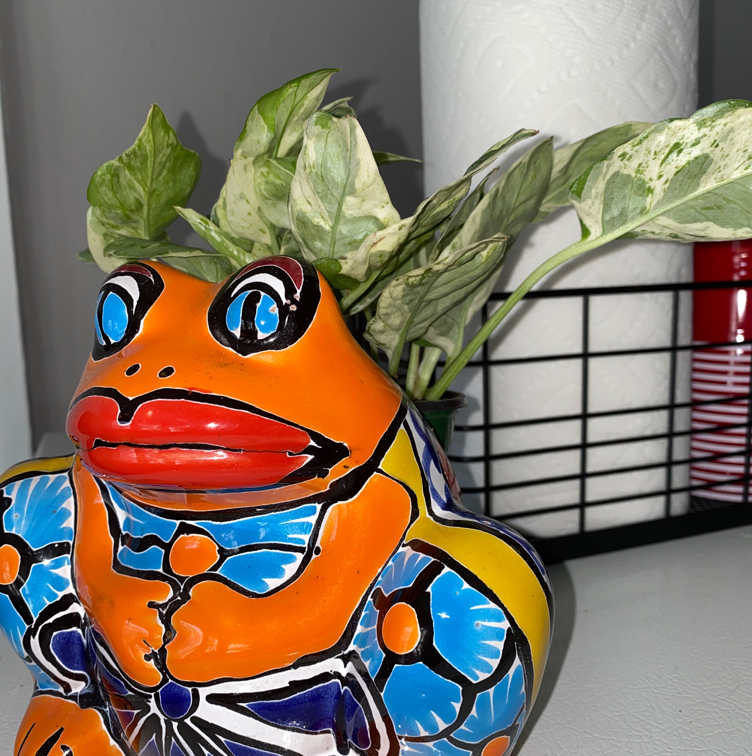 Pearls and Jade Pothos plant behind a colorful frog-shaped ceramic pot.