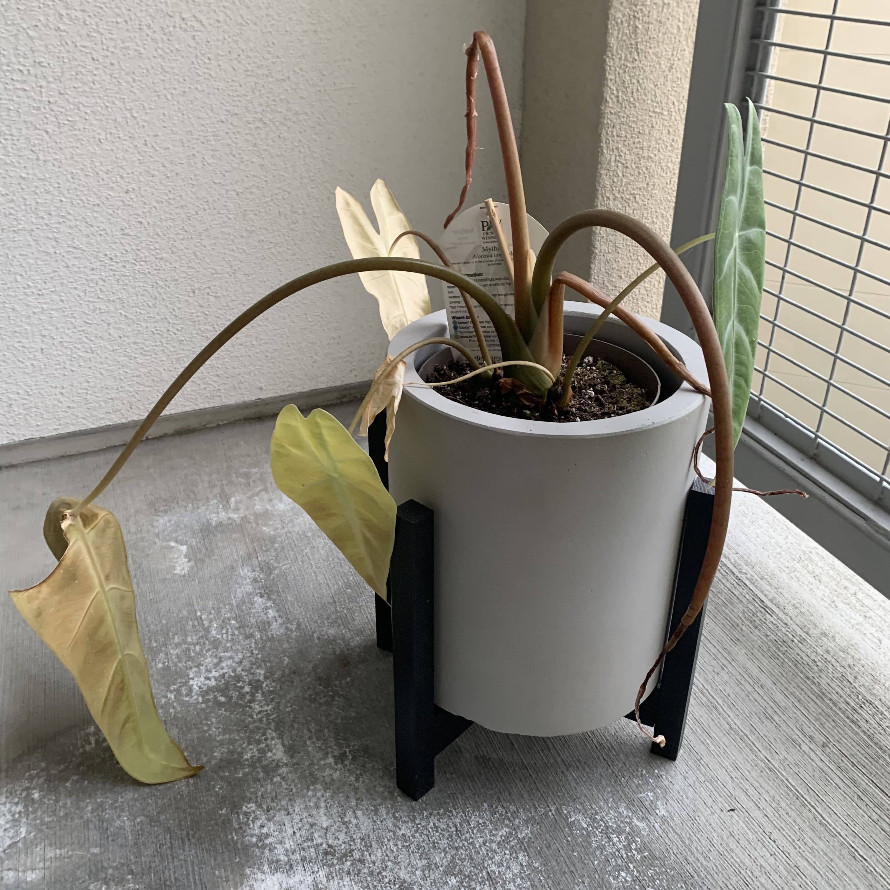 Photo from the post