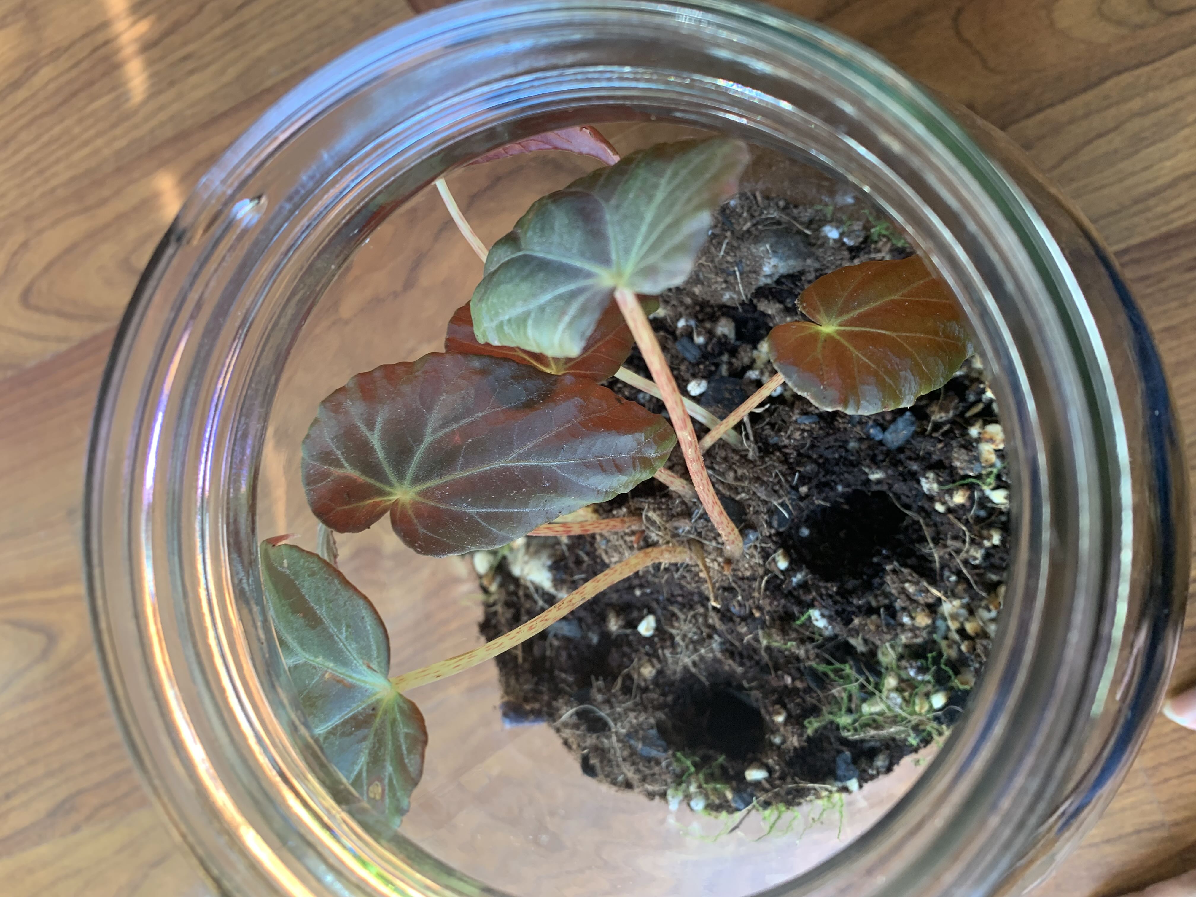 Photo from the post