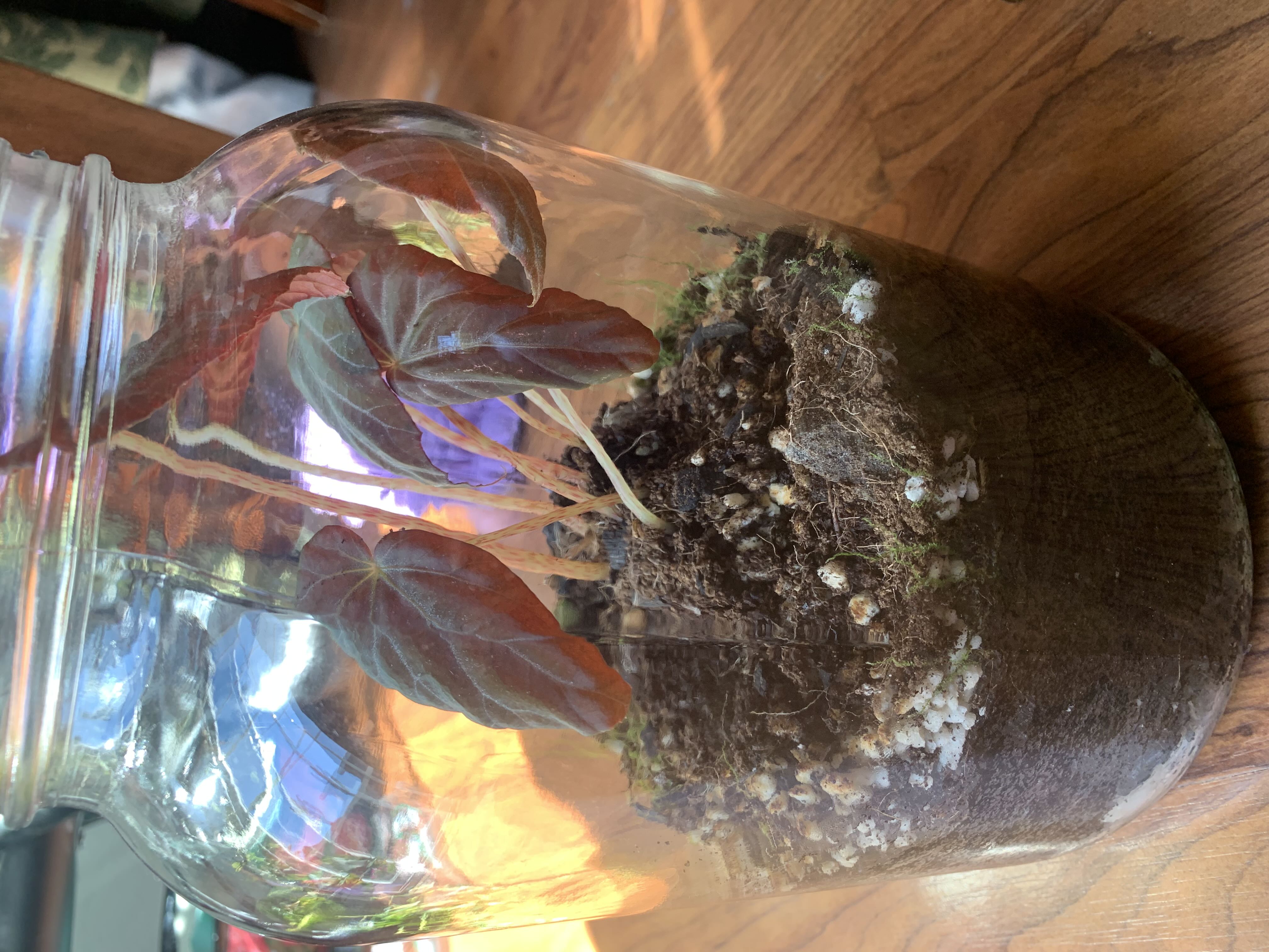 Photo from the post