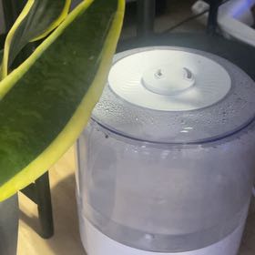 Photo of the plant species Humidifier by @LexLuthor named 3L Humidifier on Greg, the plant care app