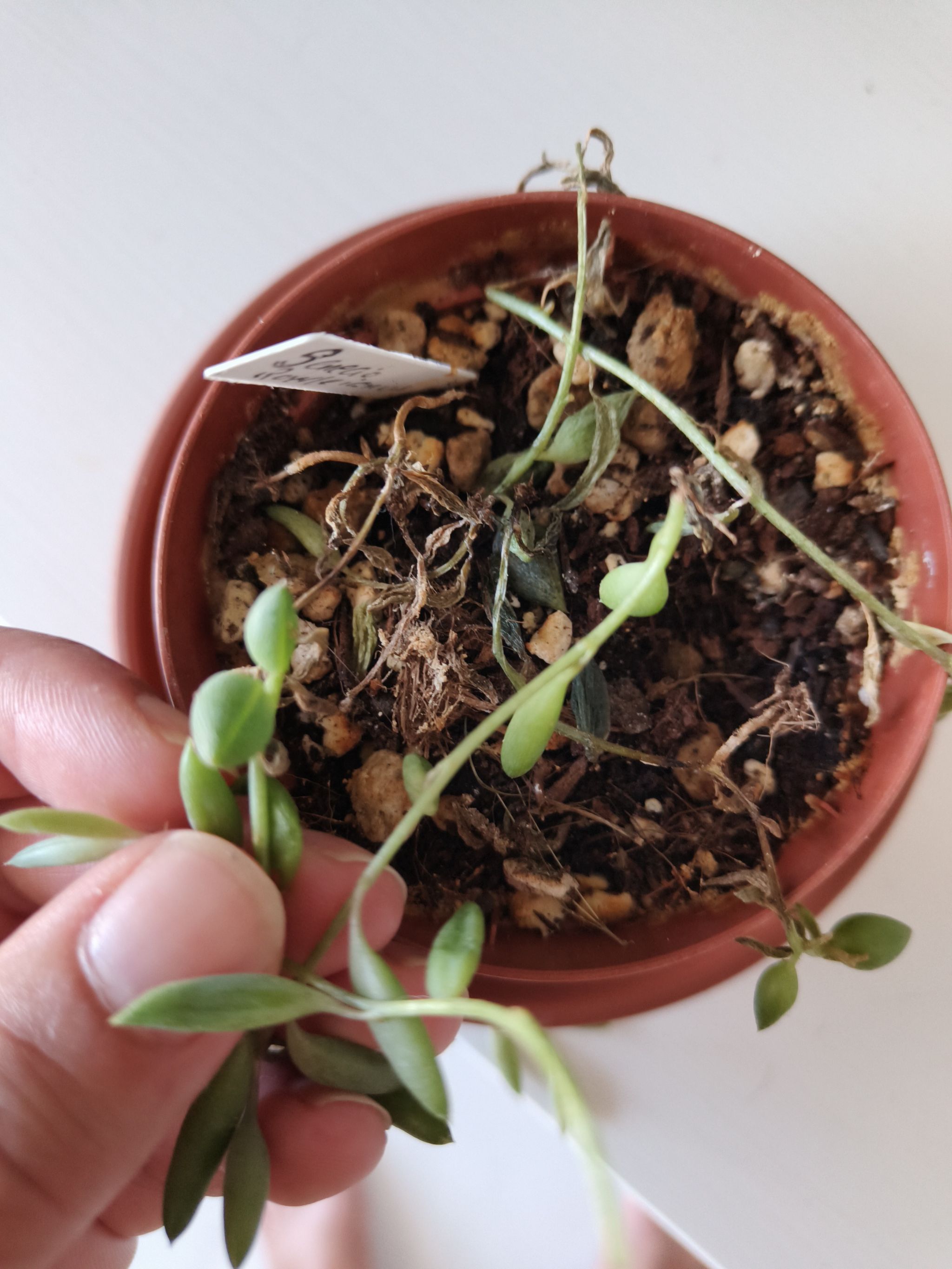 Photo from the post