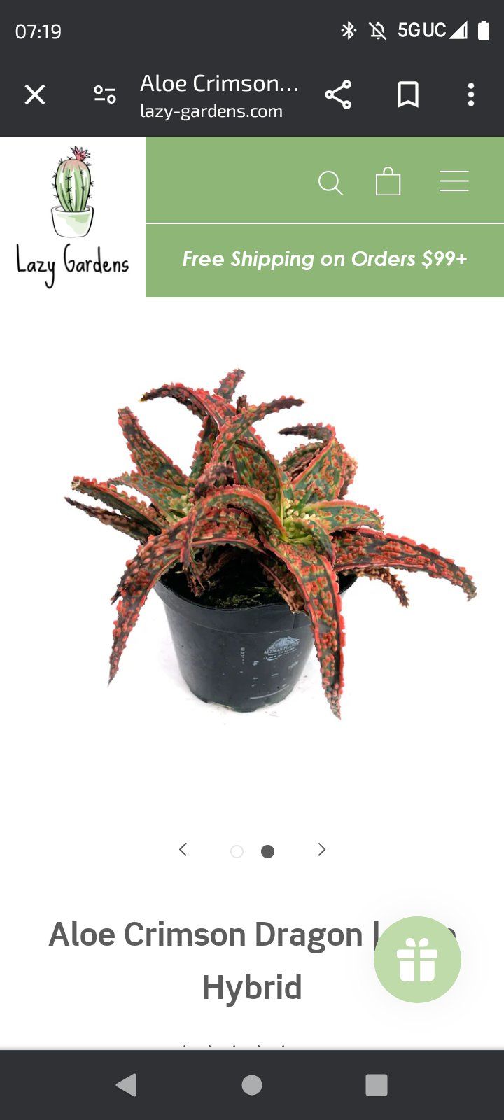 Photo of the plant species Aloe 'Crimson Dragon' by @DearTurkishsage named Fernie Saunders on Greg, the plant care app