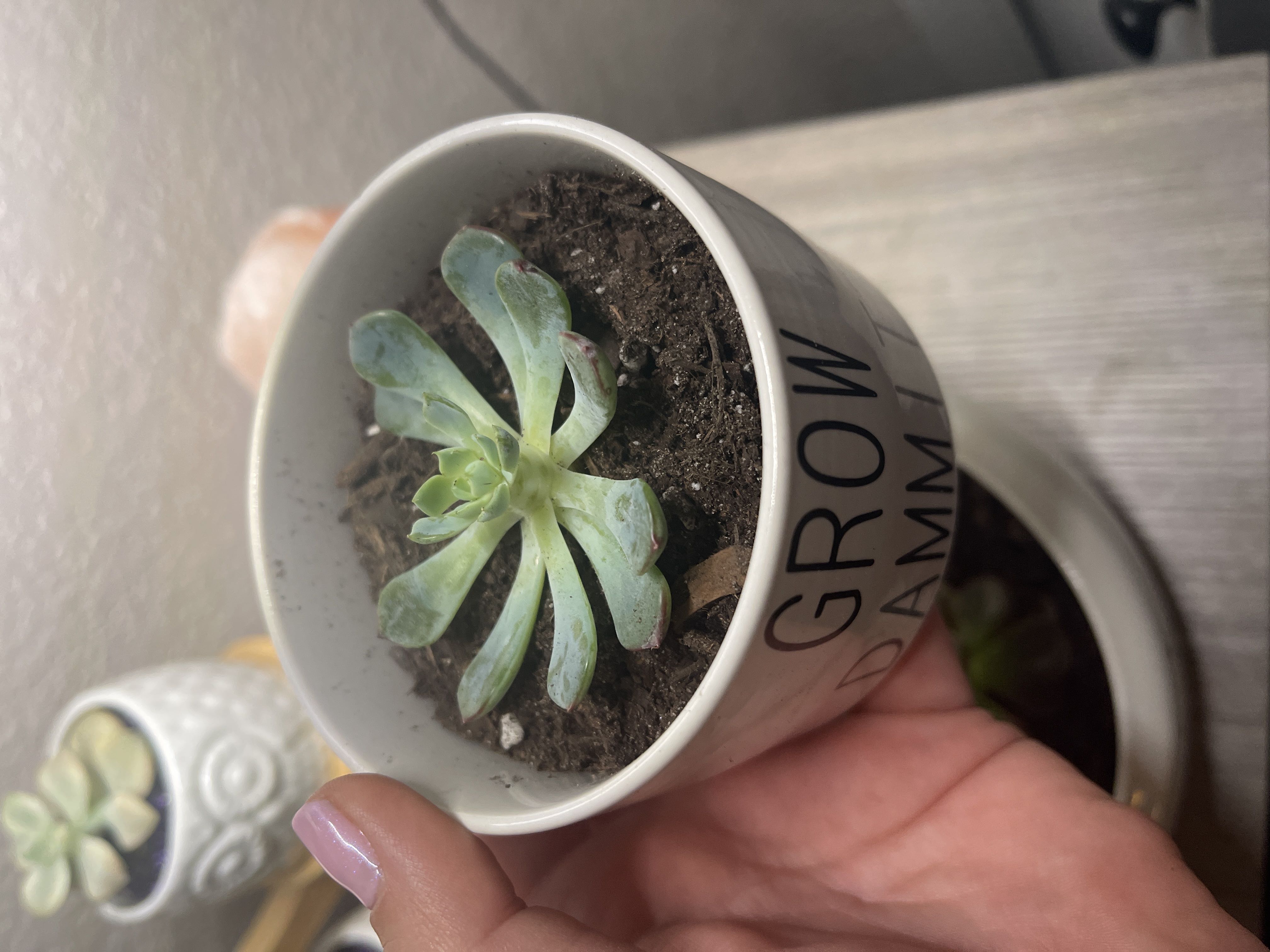 Photo from the post