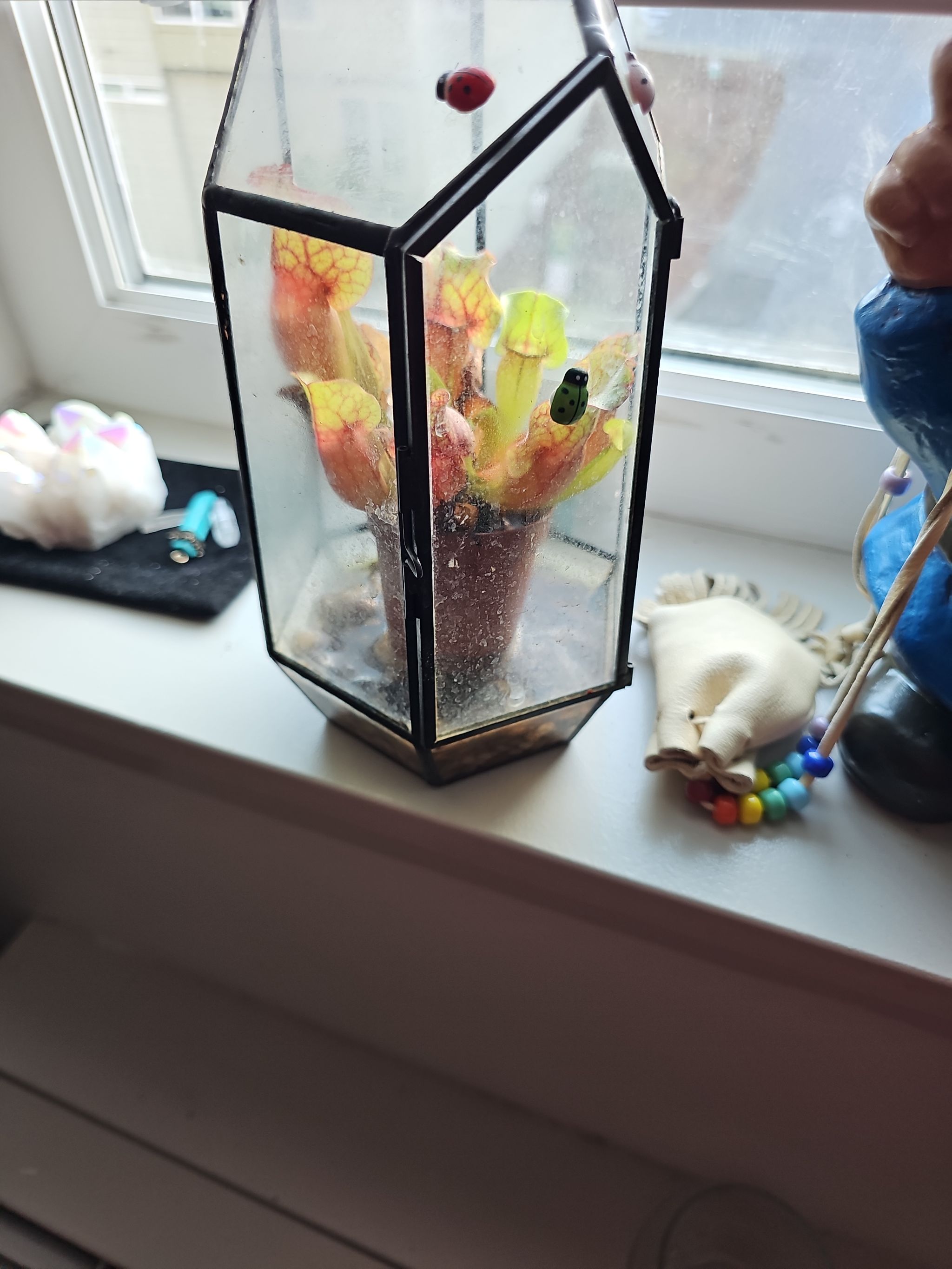 Photo from the post