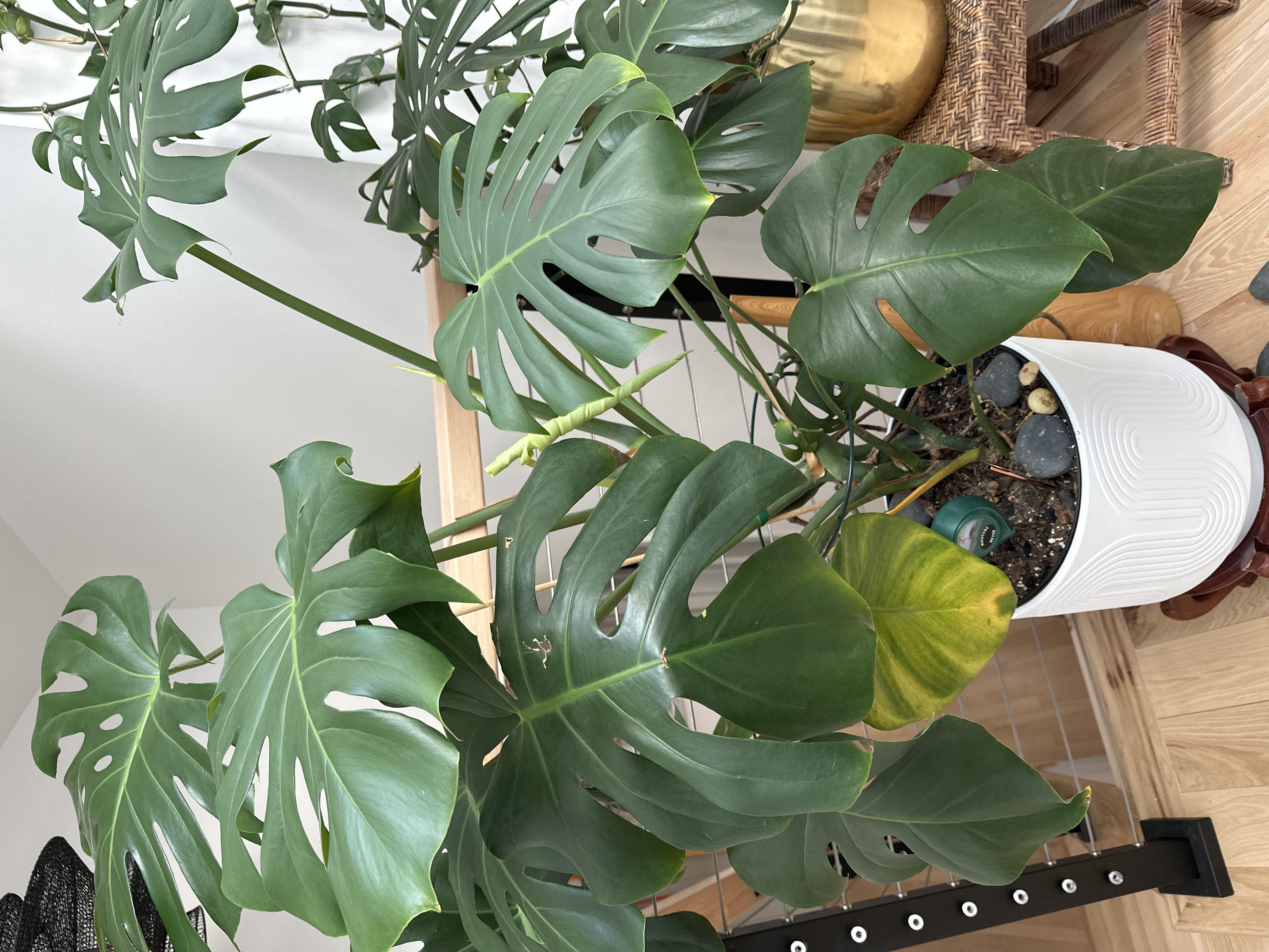 Photo from the post