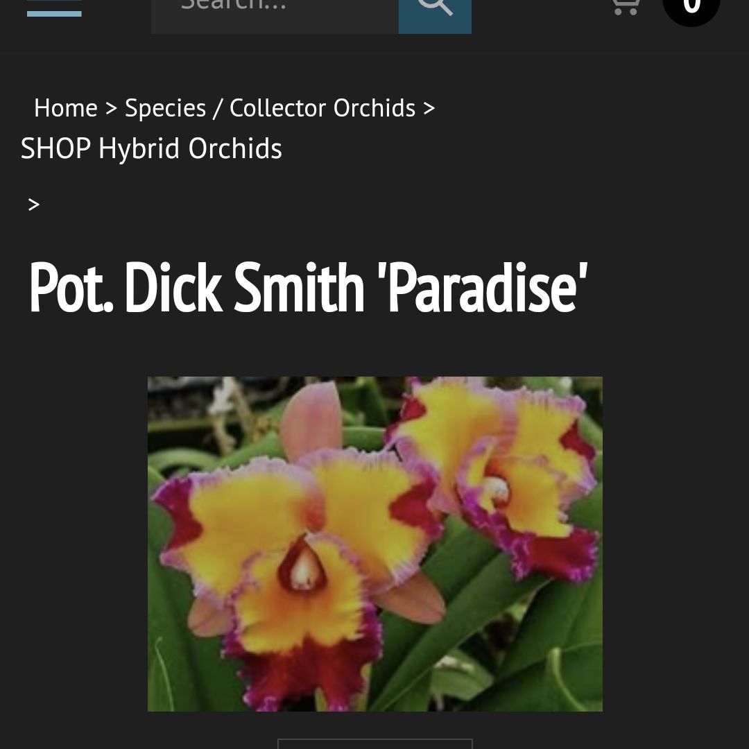 Photo of the plant species Paradise Cattleya by @SuppleMoonglow named Dick Smith on Greg, the plant care app