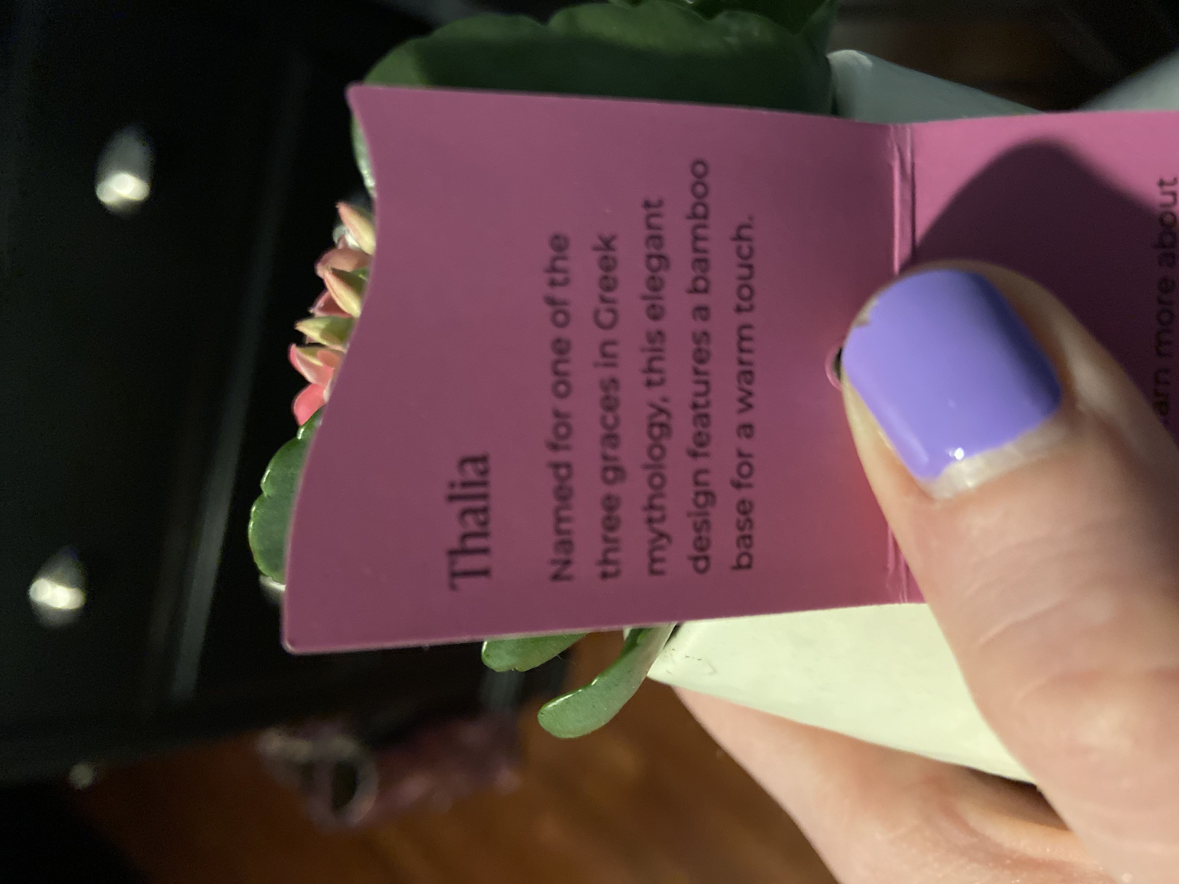 Photo from the post