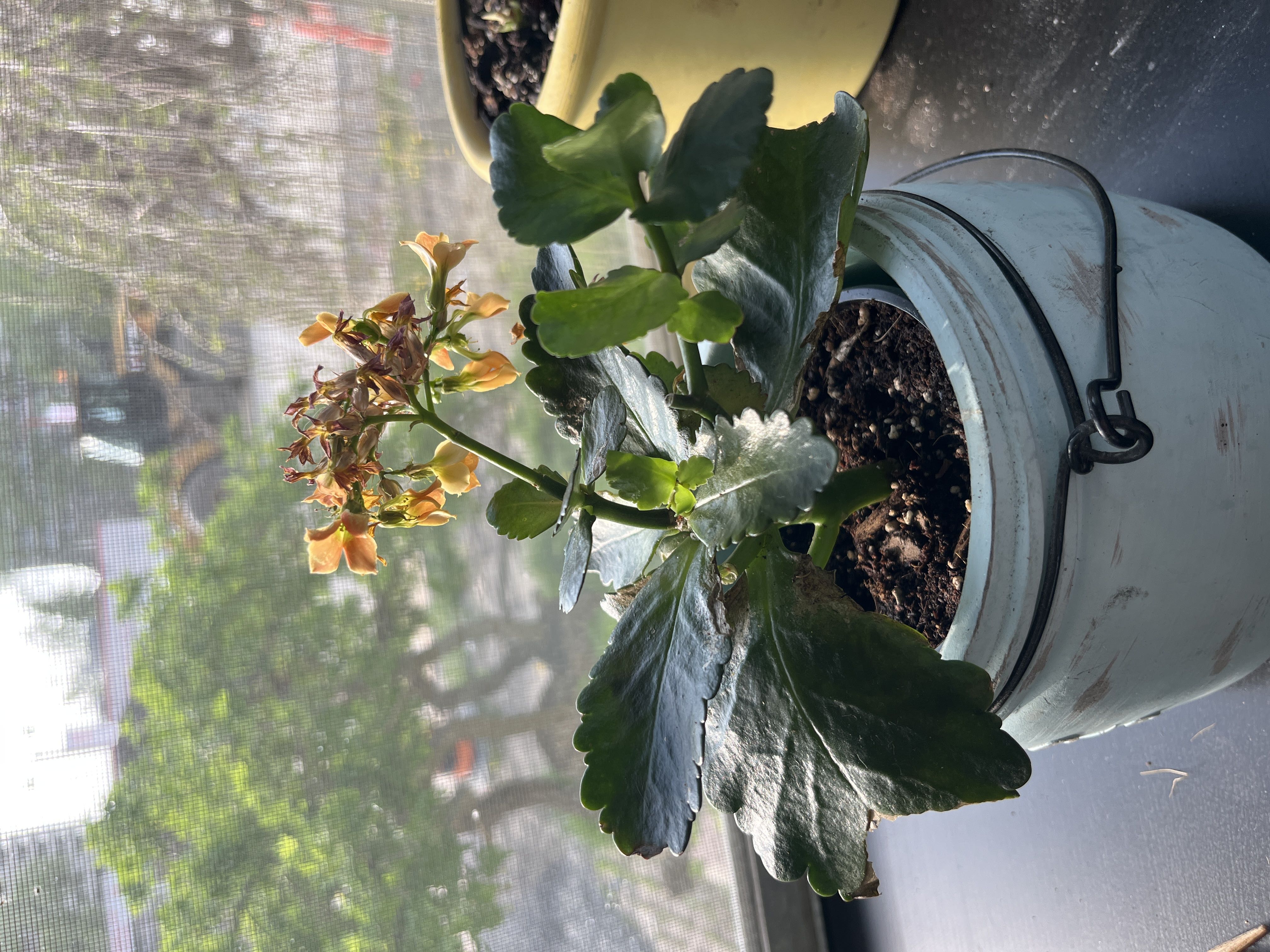 Photo from the post