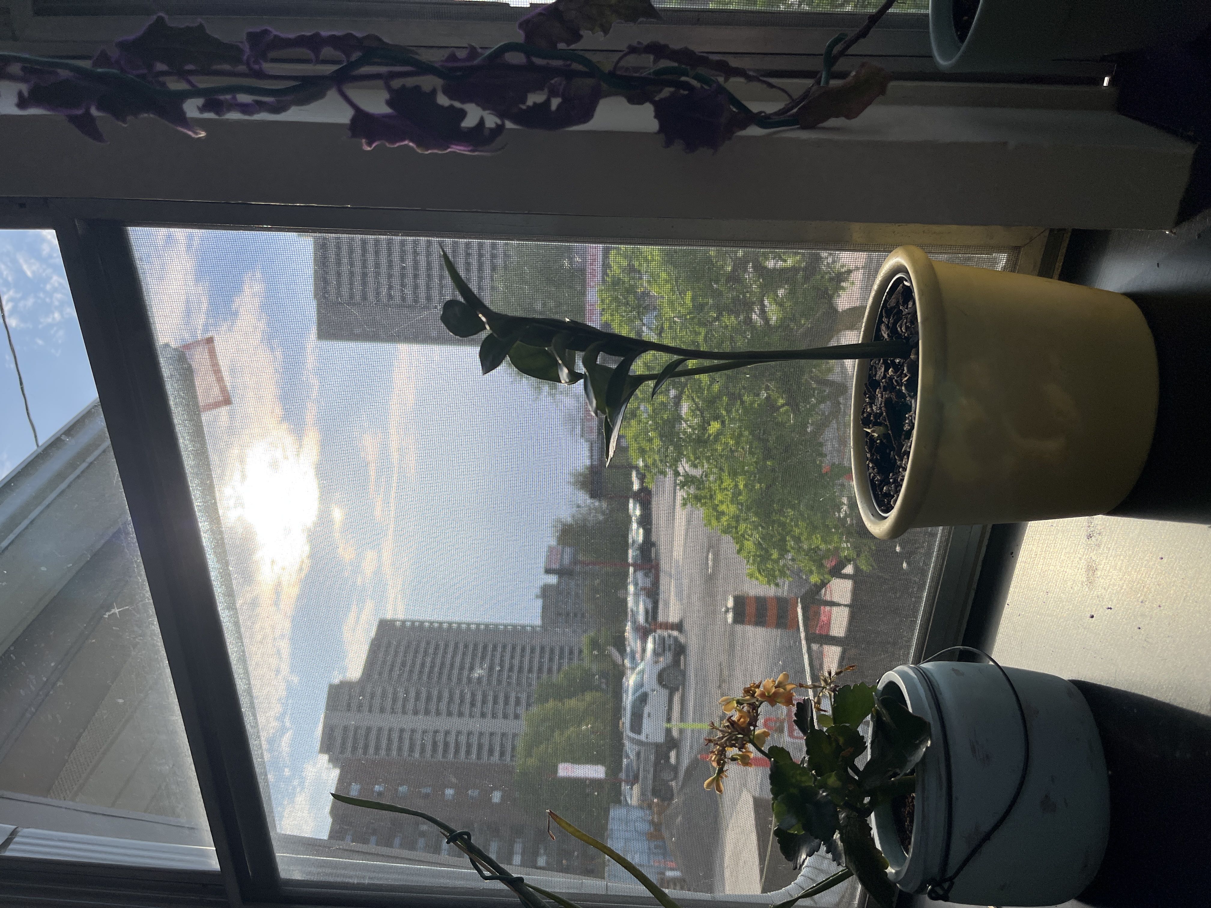 Photo from the post