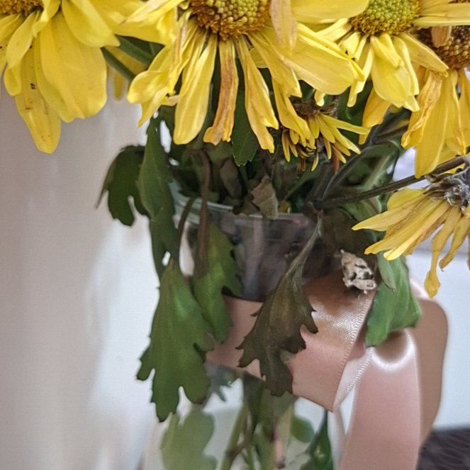 Photo of the plant species Golden Crownbeard by @NurseSaltcedar named Tolkien on Greg, the plant care app