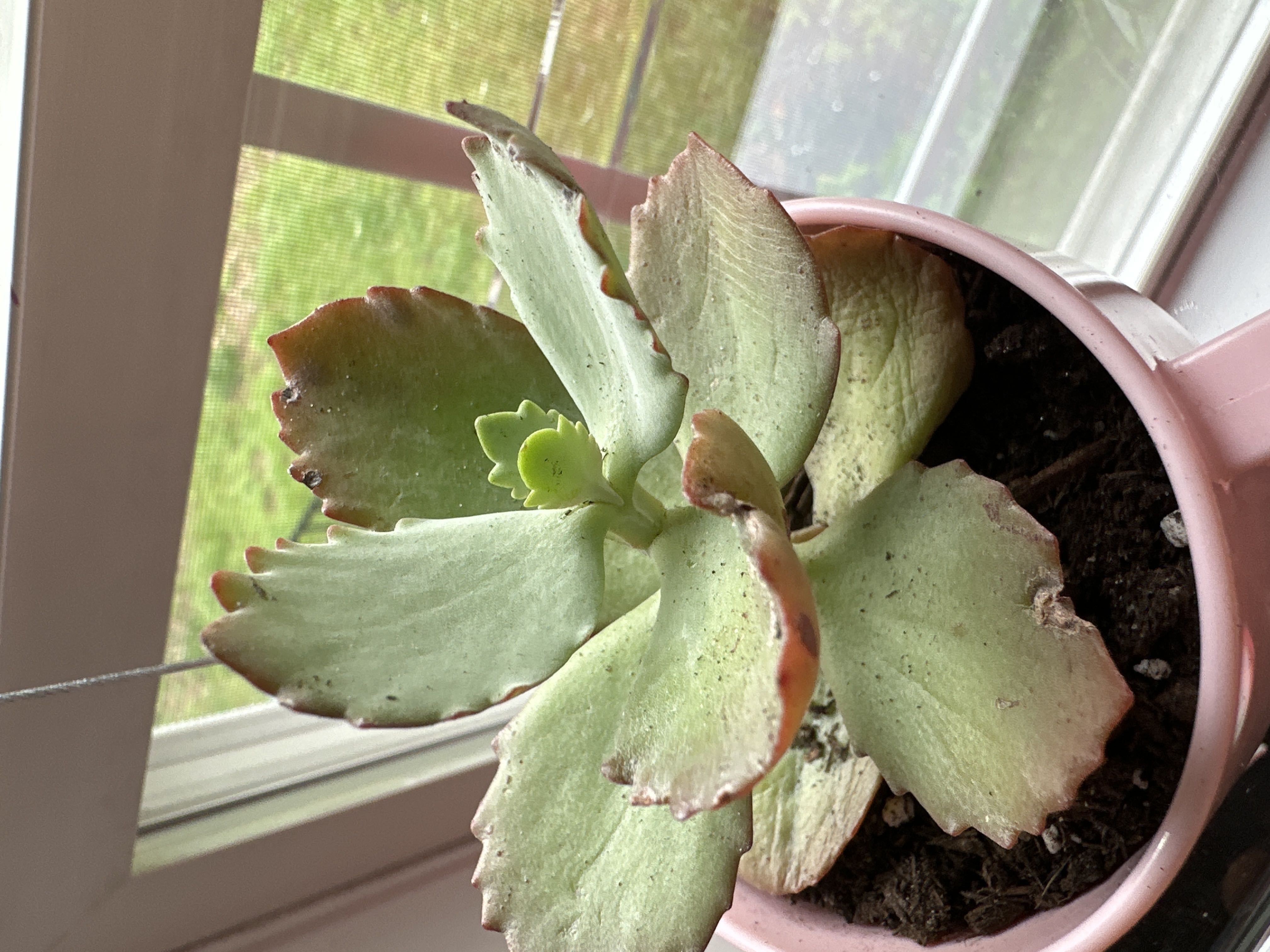 Photo from the post