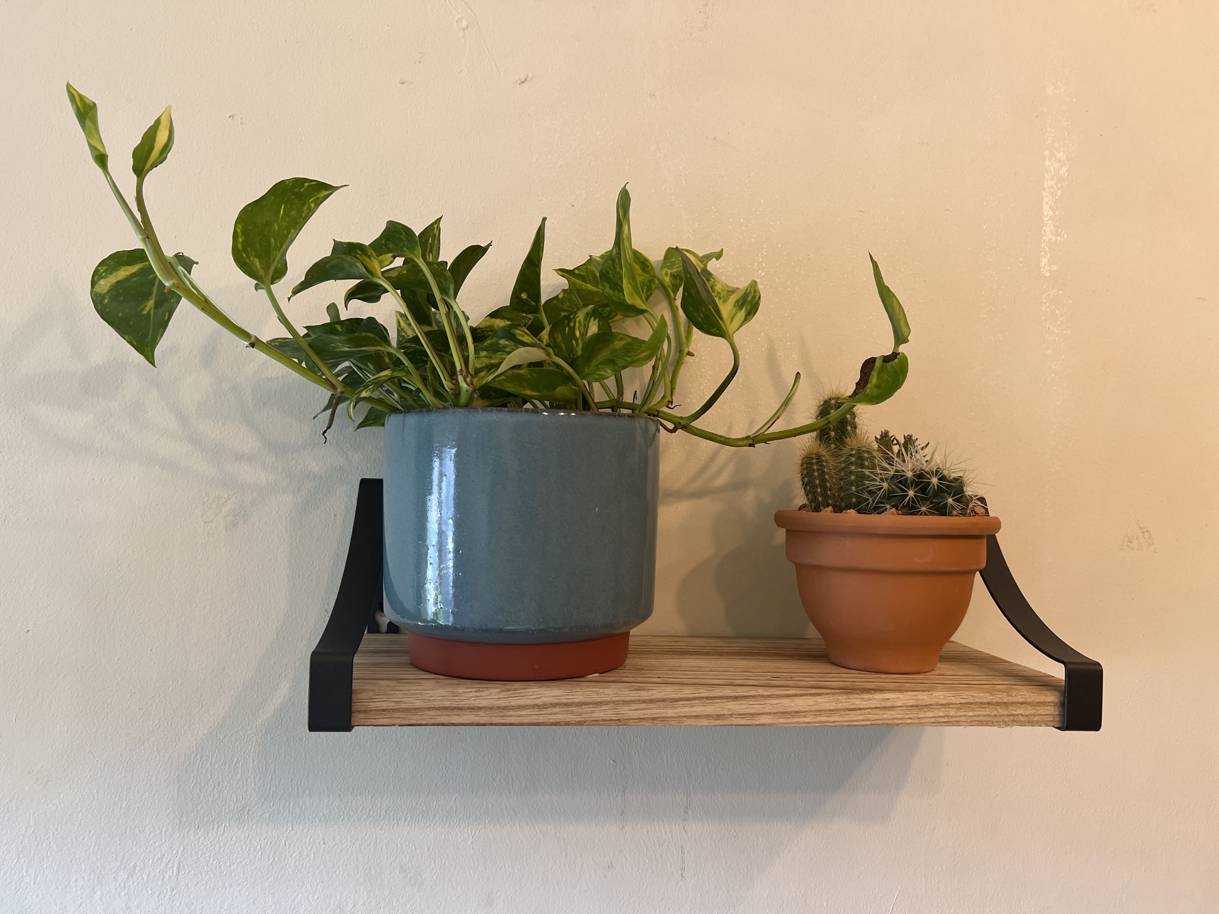 Photo from the post