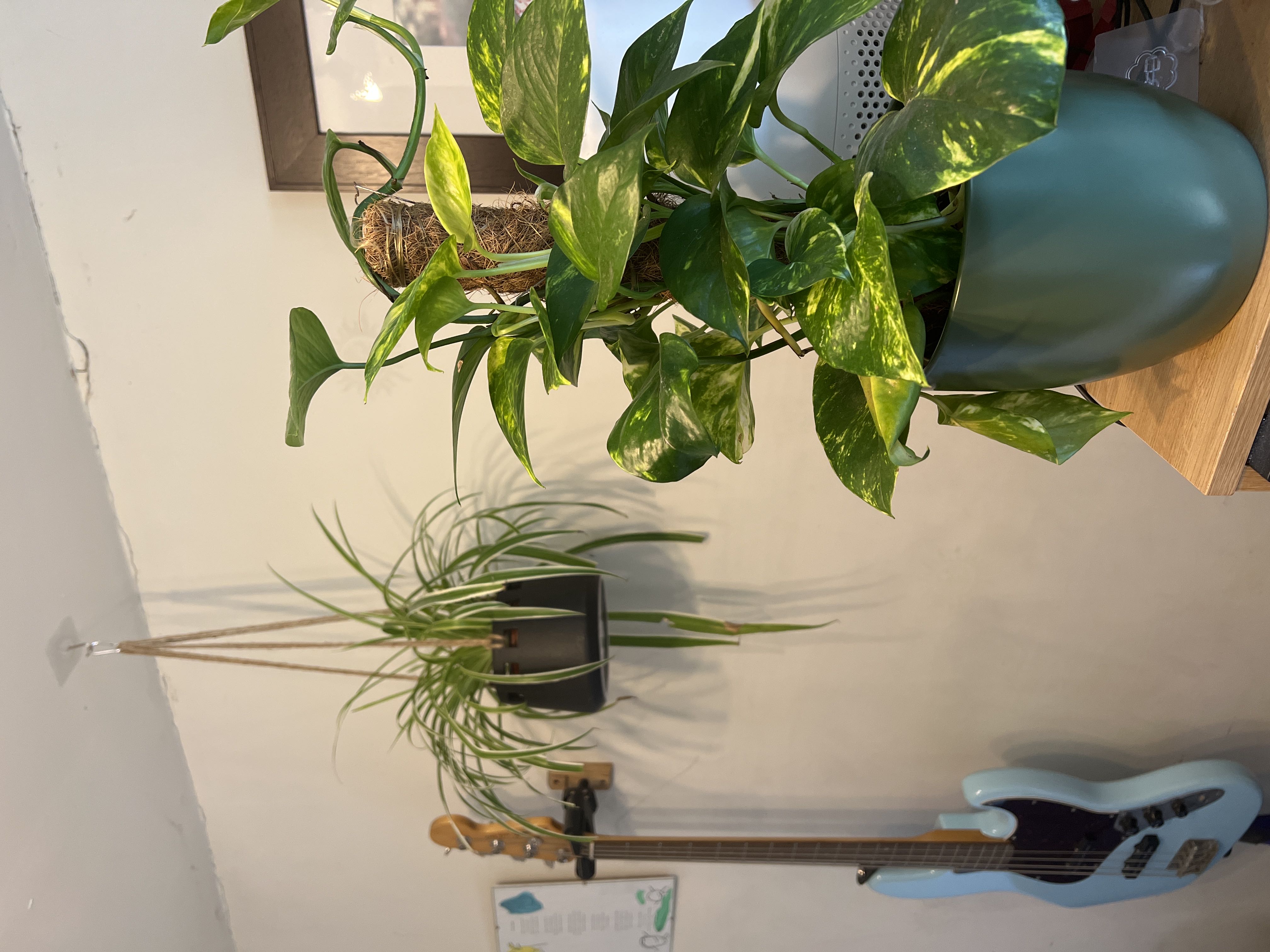 Photo from the post