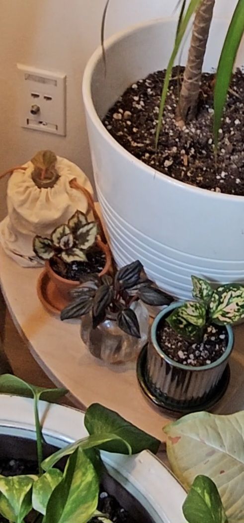 Photo from the post
