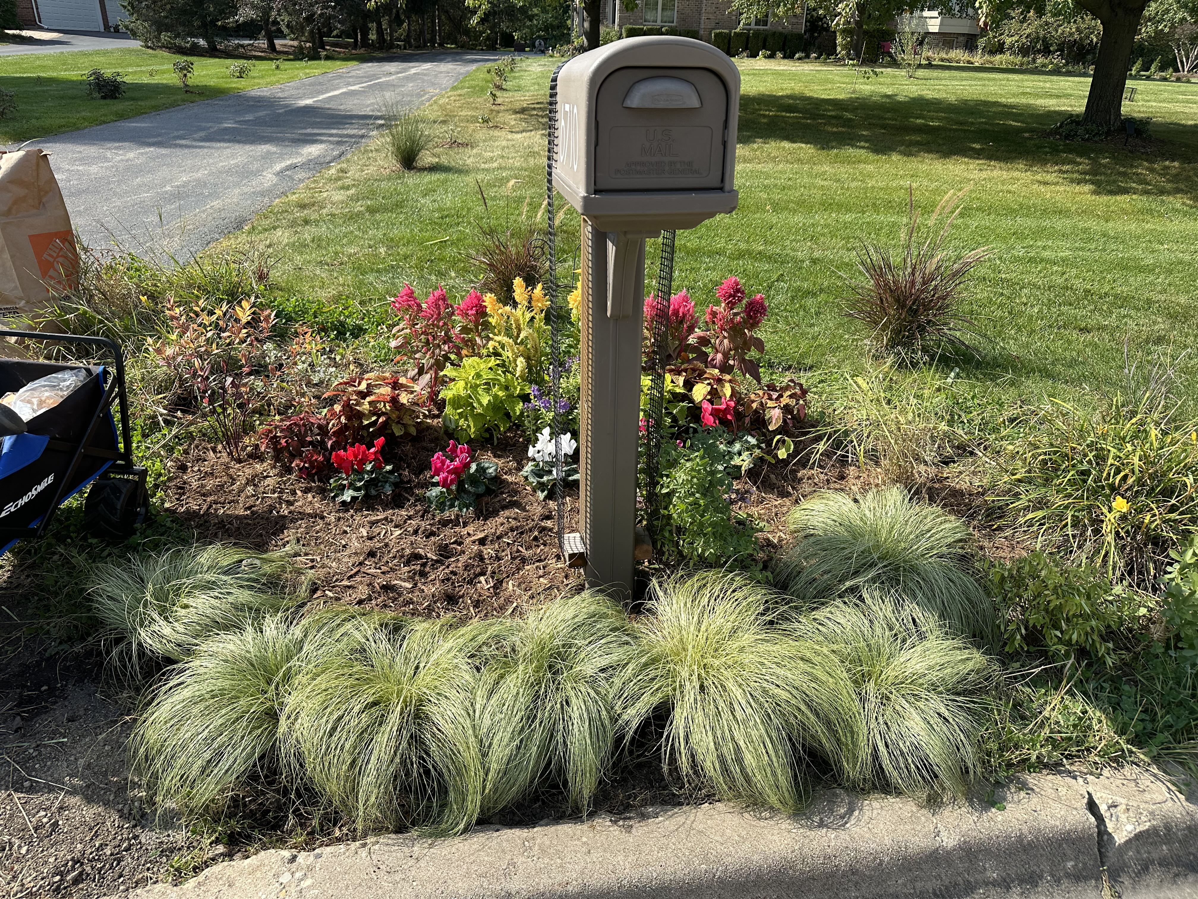 Photo from the post
