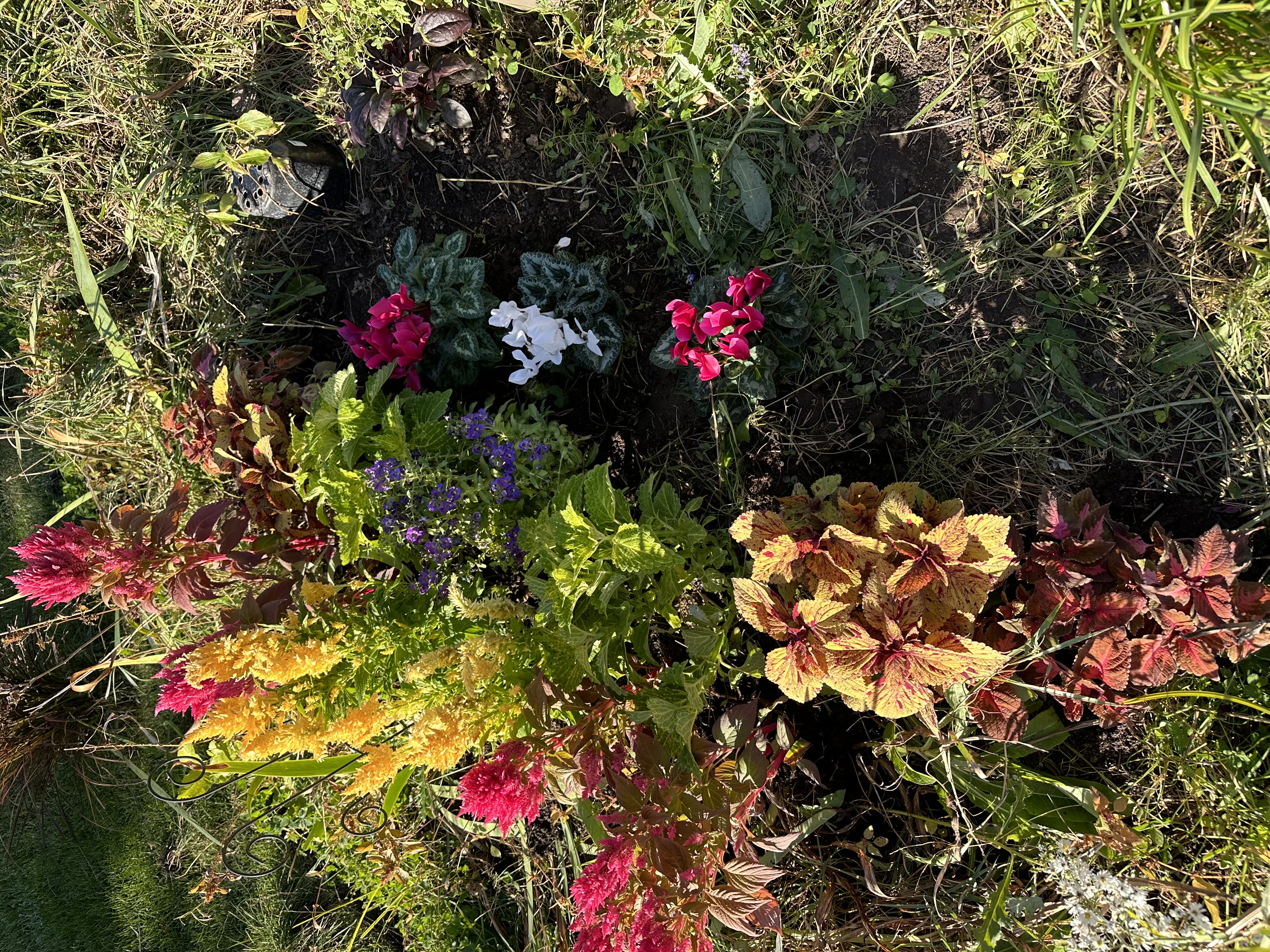 Photo from the post