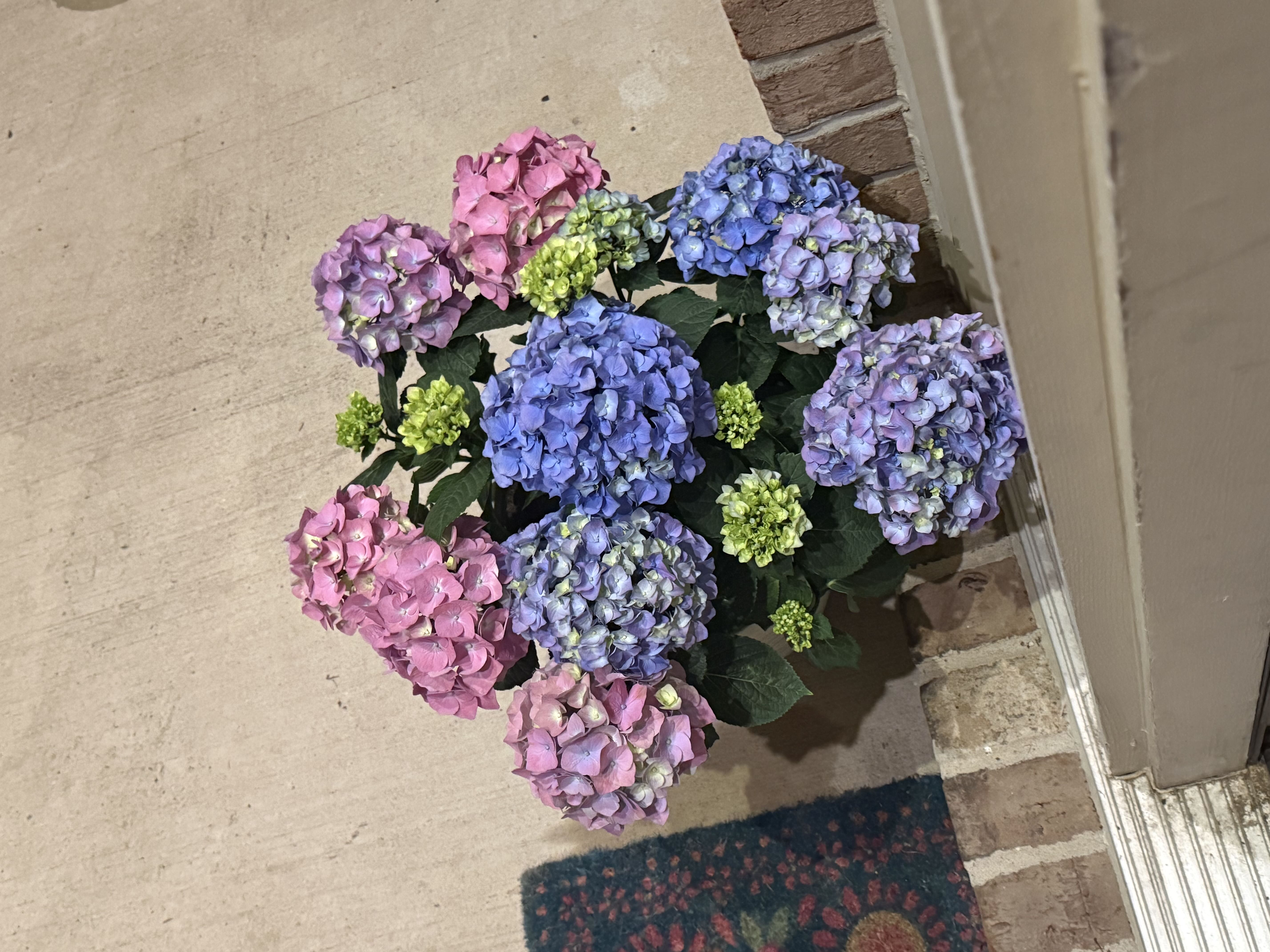 Photo from the post