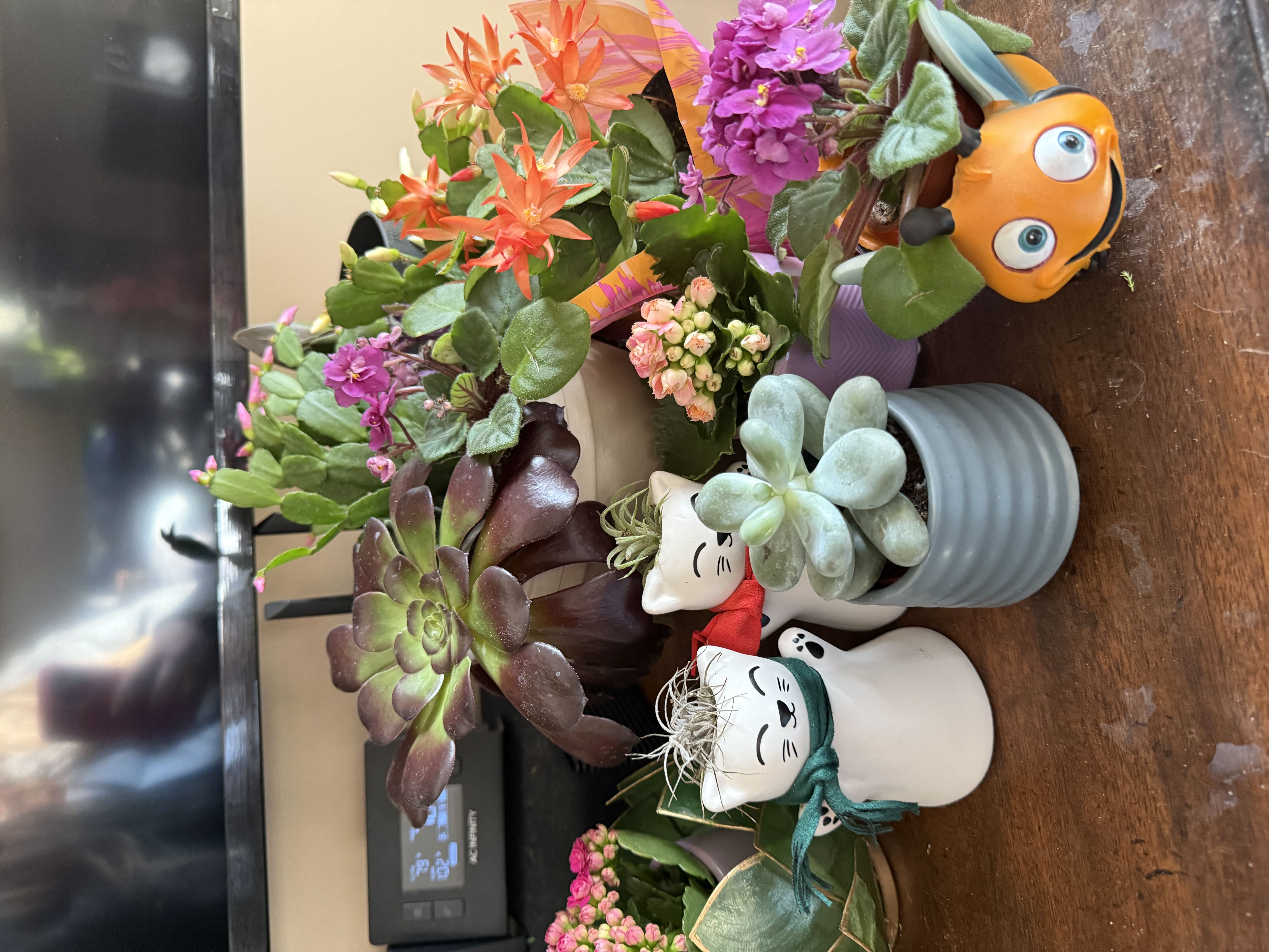 Photo from the post