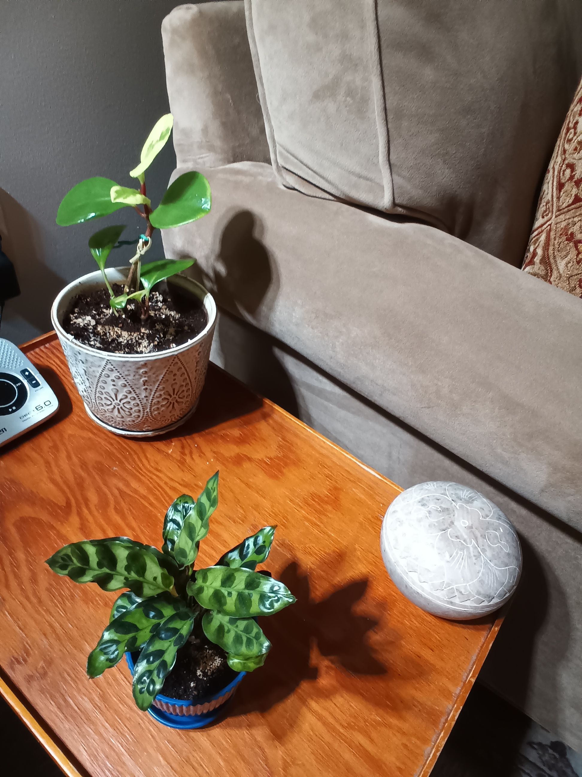 Photo from the post