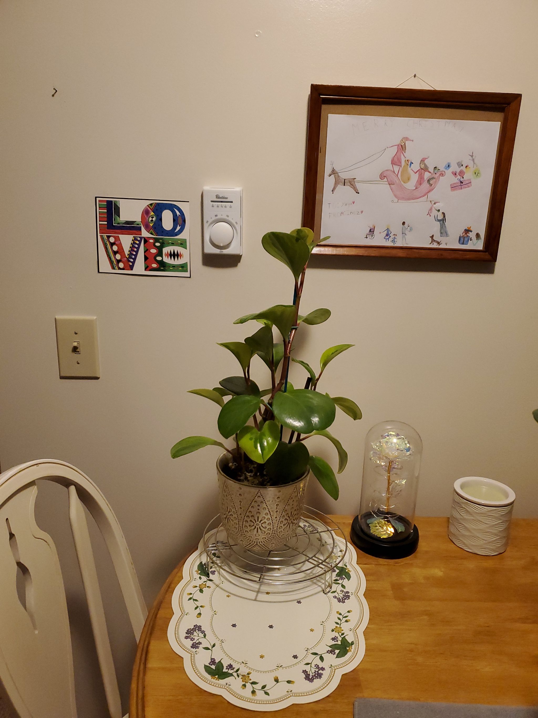 Photo from the post